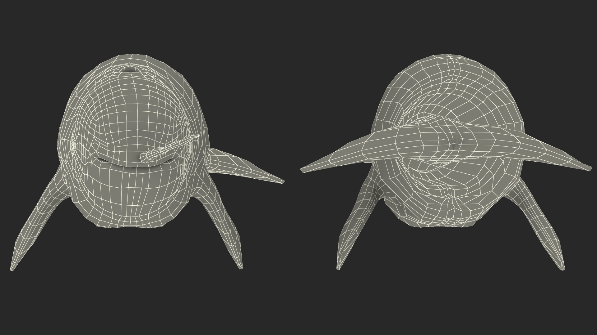 3D Narhwal Swimming Pose
