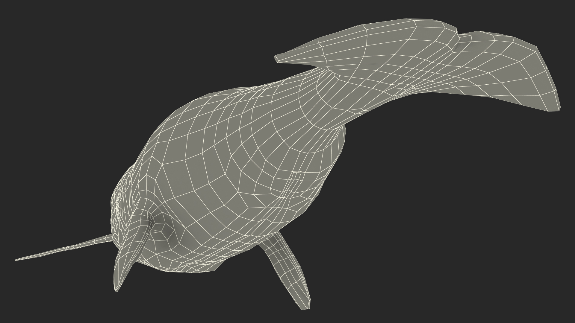 3D Narhwal Swimming Pose
