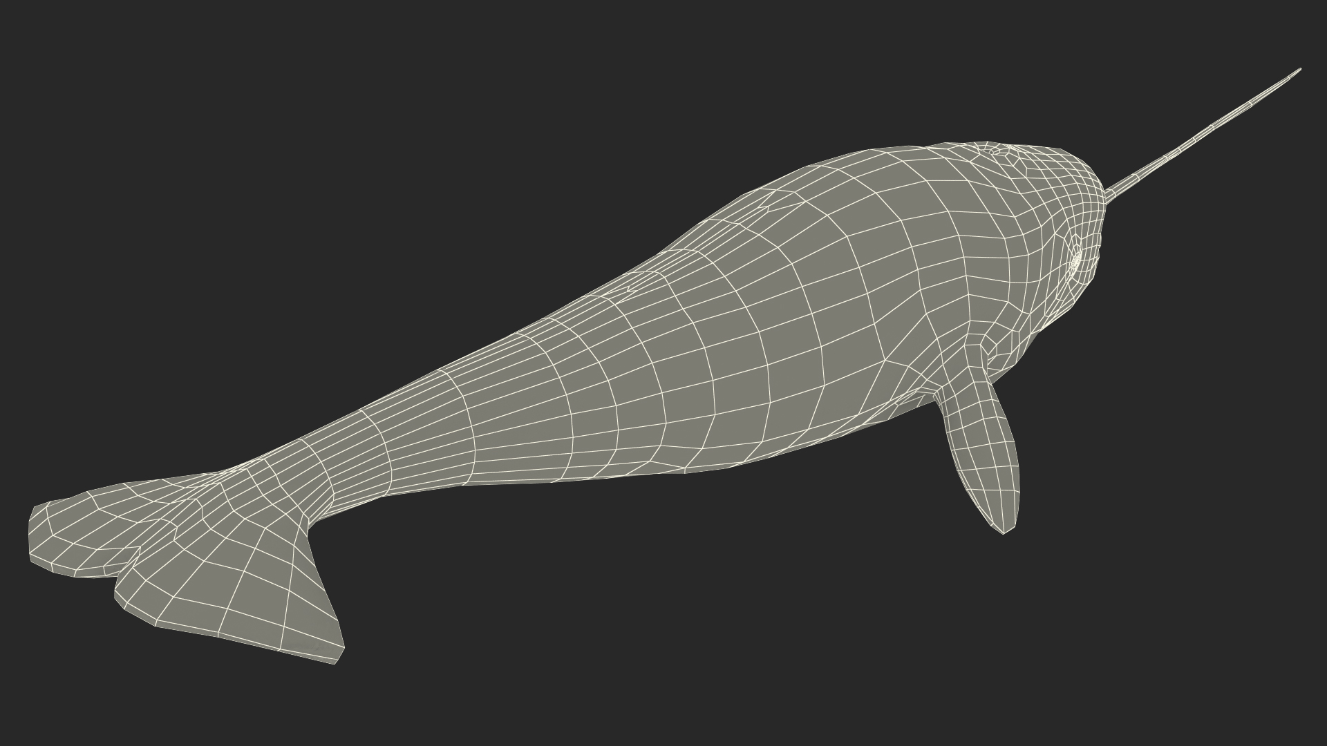 3D Narhwal Swimming Pose