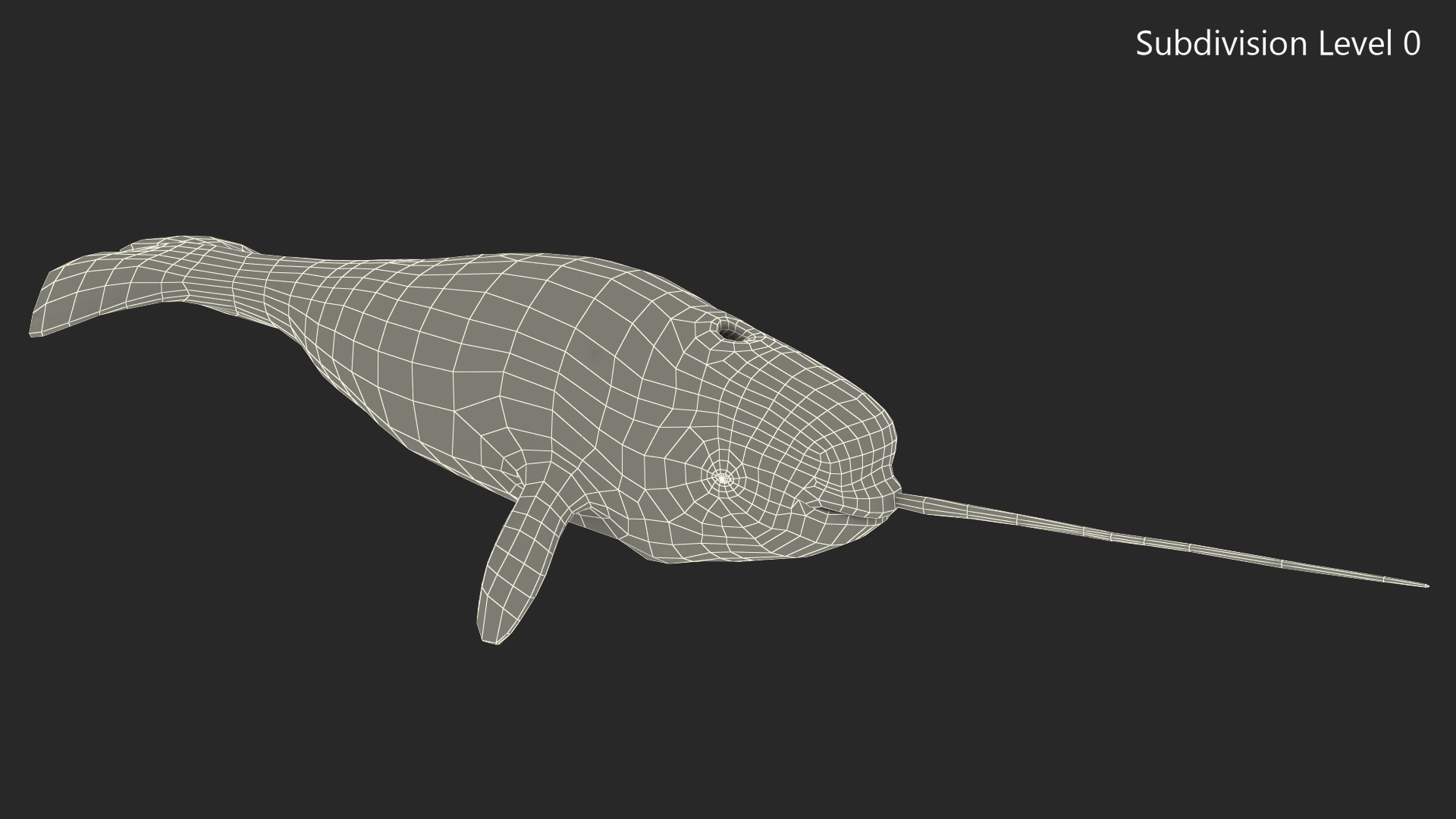 3D Narhwal Swimming Pose