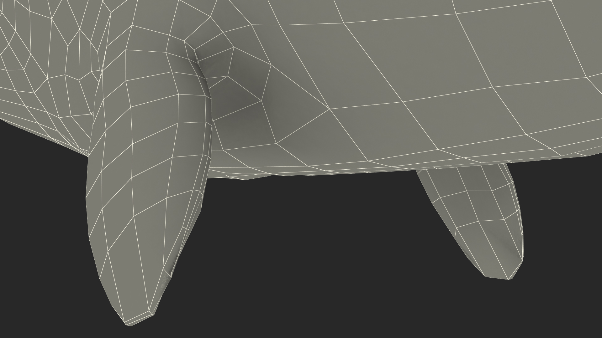 3D Narhwal Swimming Pose