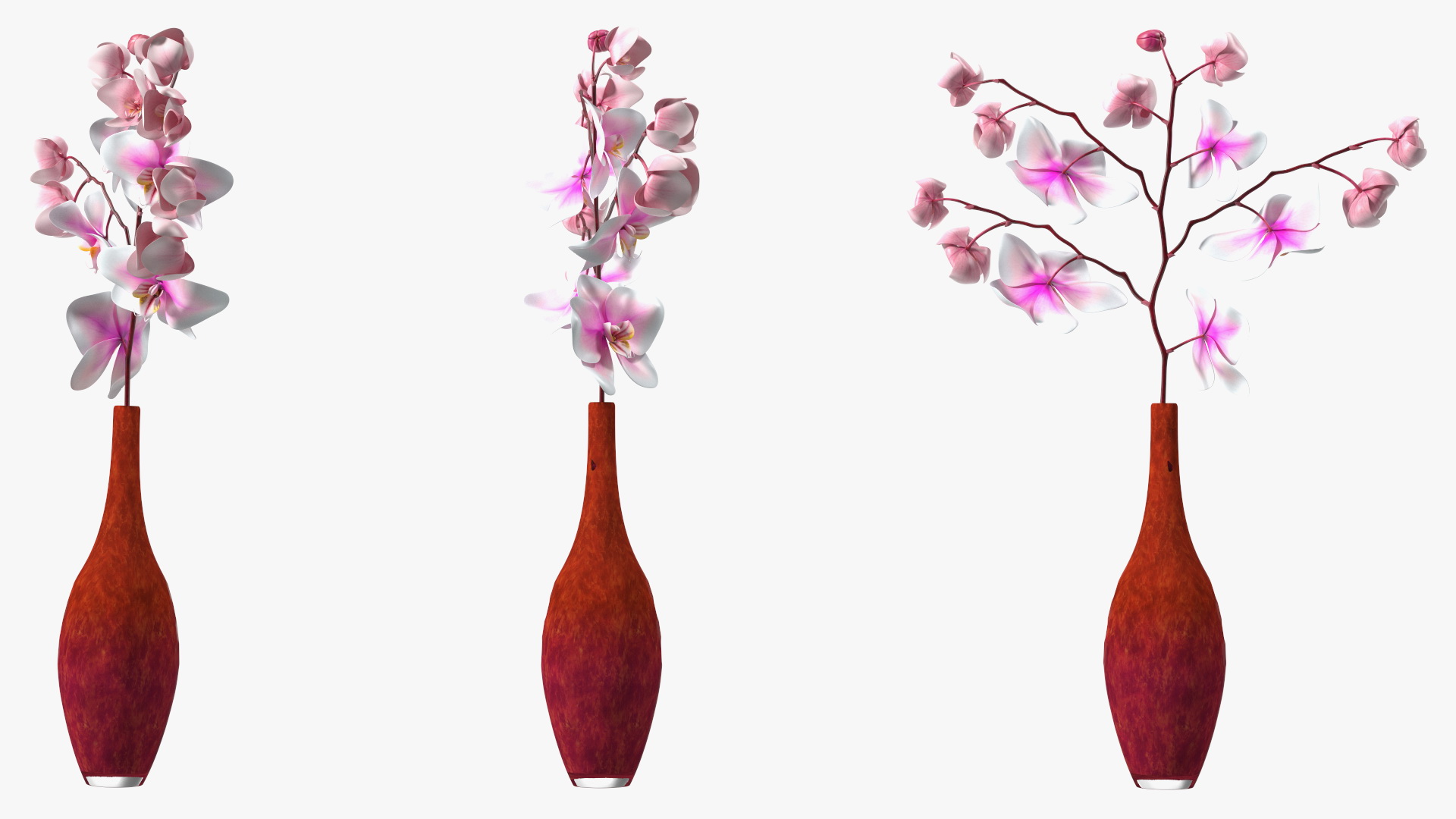Phalaenopsis Orchid and Glass Vase 3D model