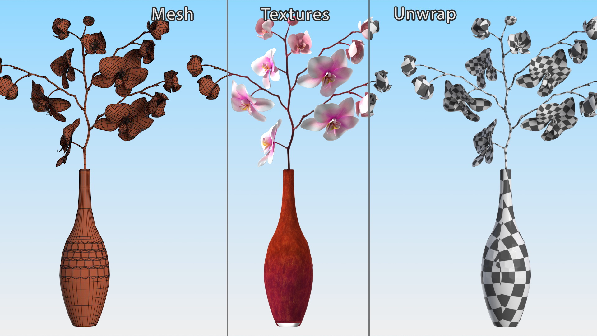 Phalaenopsis Orchid and Glass Vase 3D model