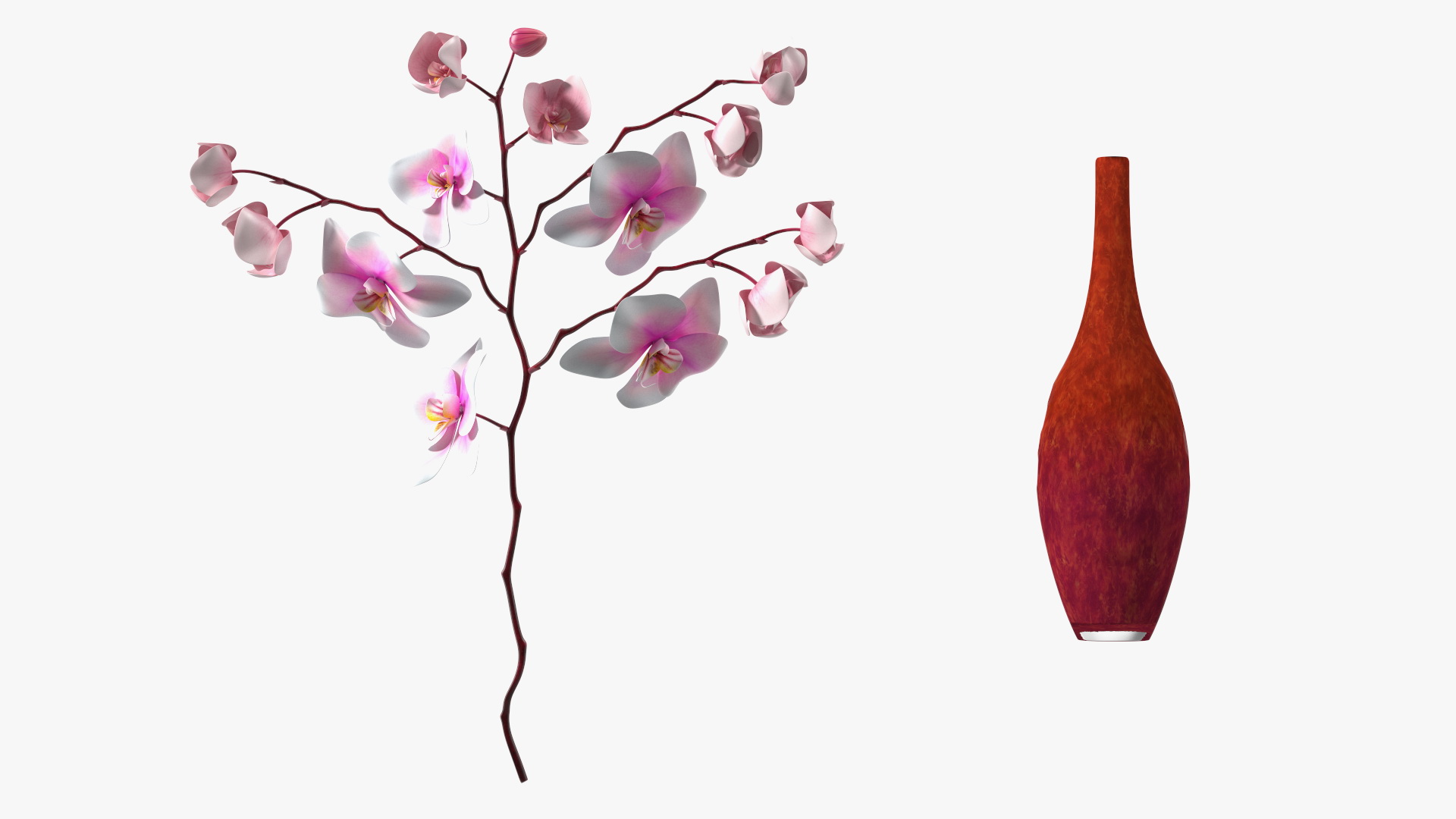 Phalaenopsis Orchid and Glass Vase 3D model