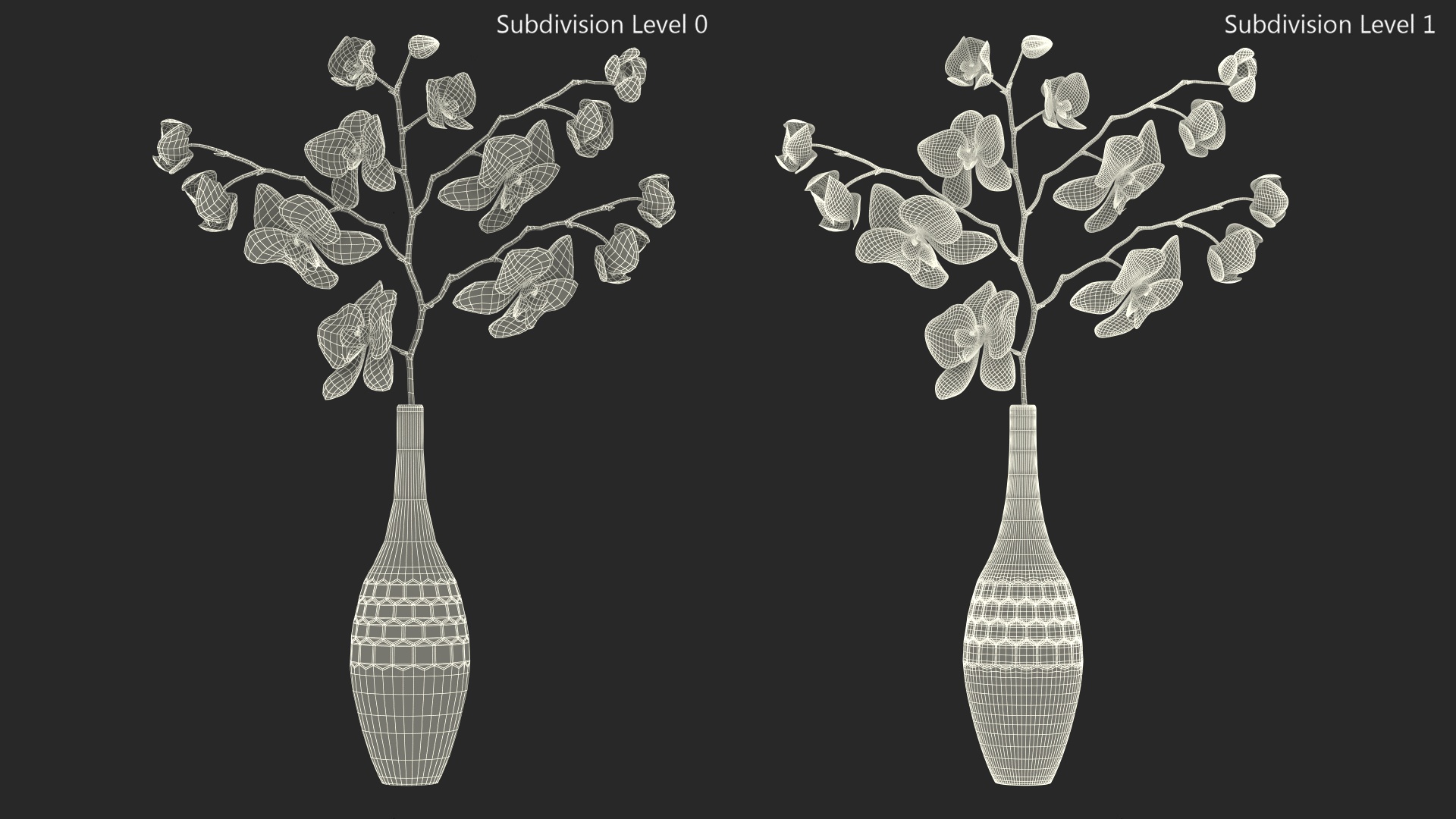 Phalaenopsis Orchid and Glass Vase 3D model