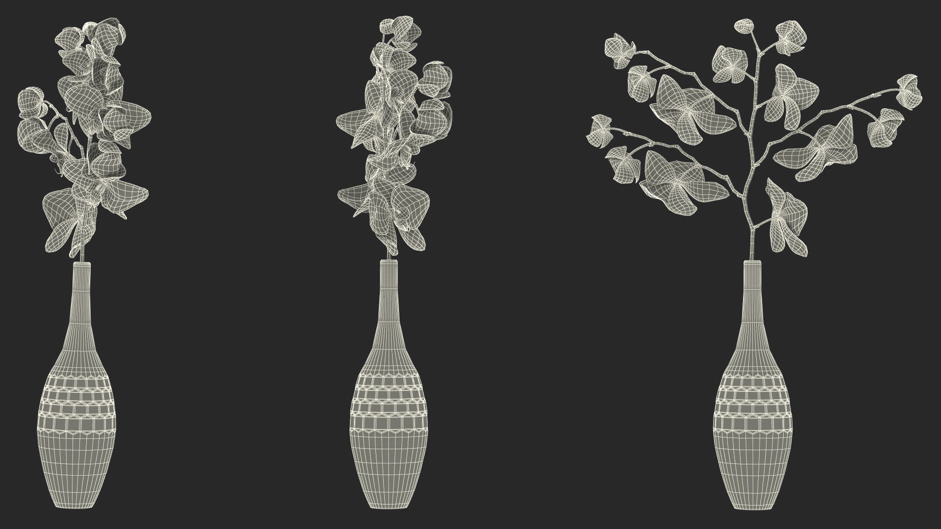 Phalaenopsis Orchid and Glass Vase 3D model