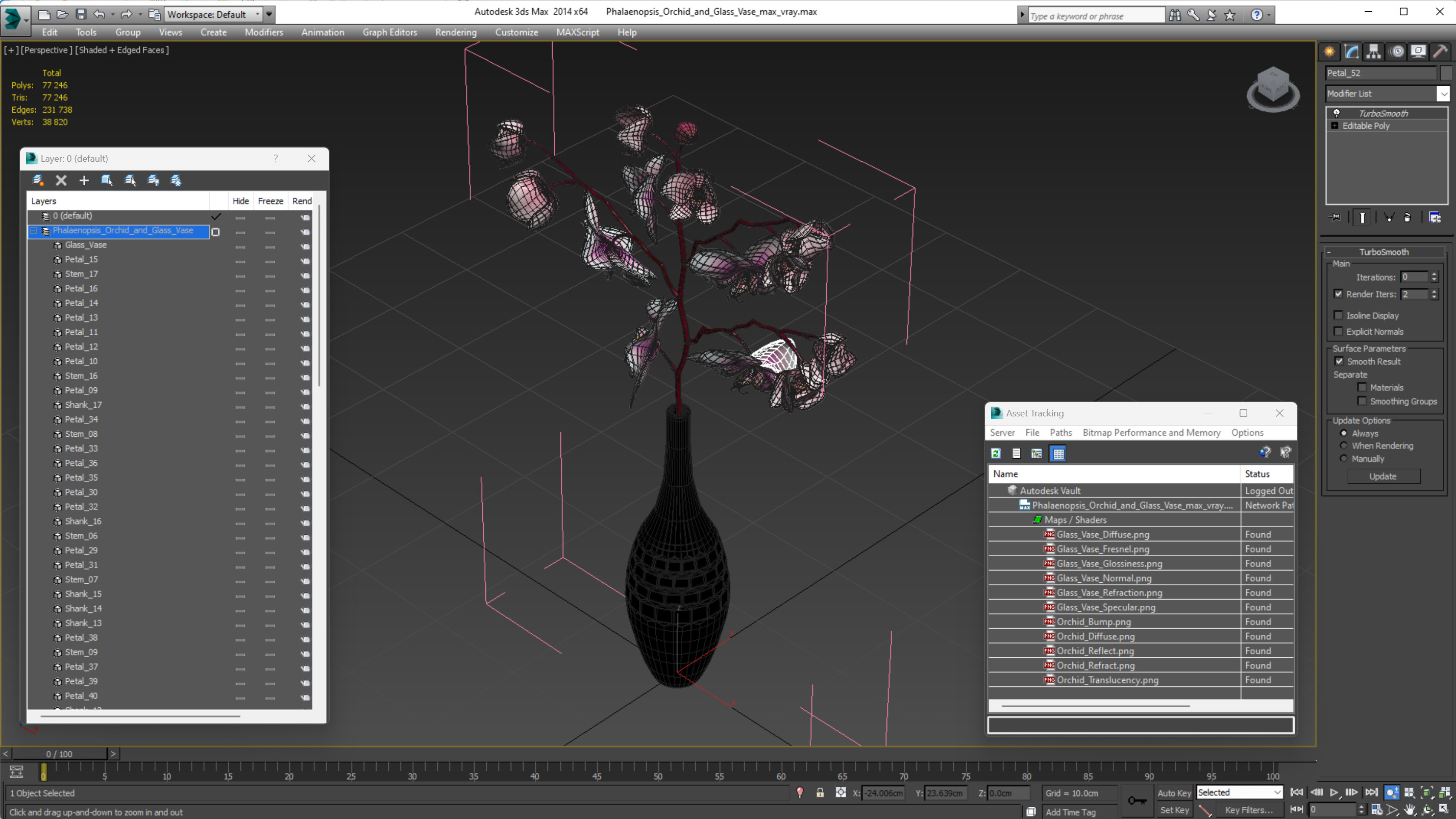 Phalaenopsis Orchid and Glass Vase 3D model