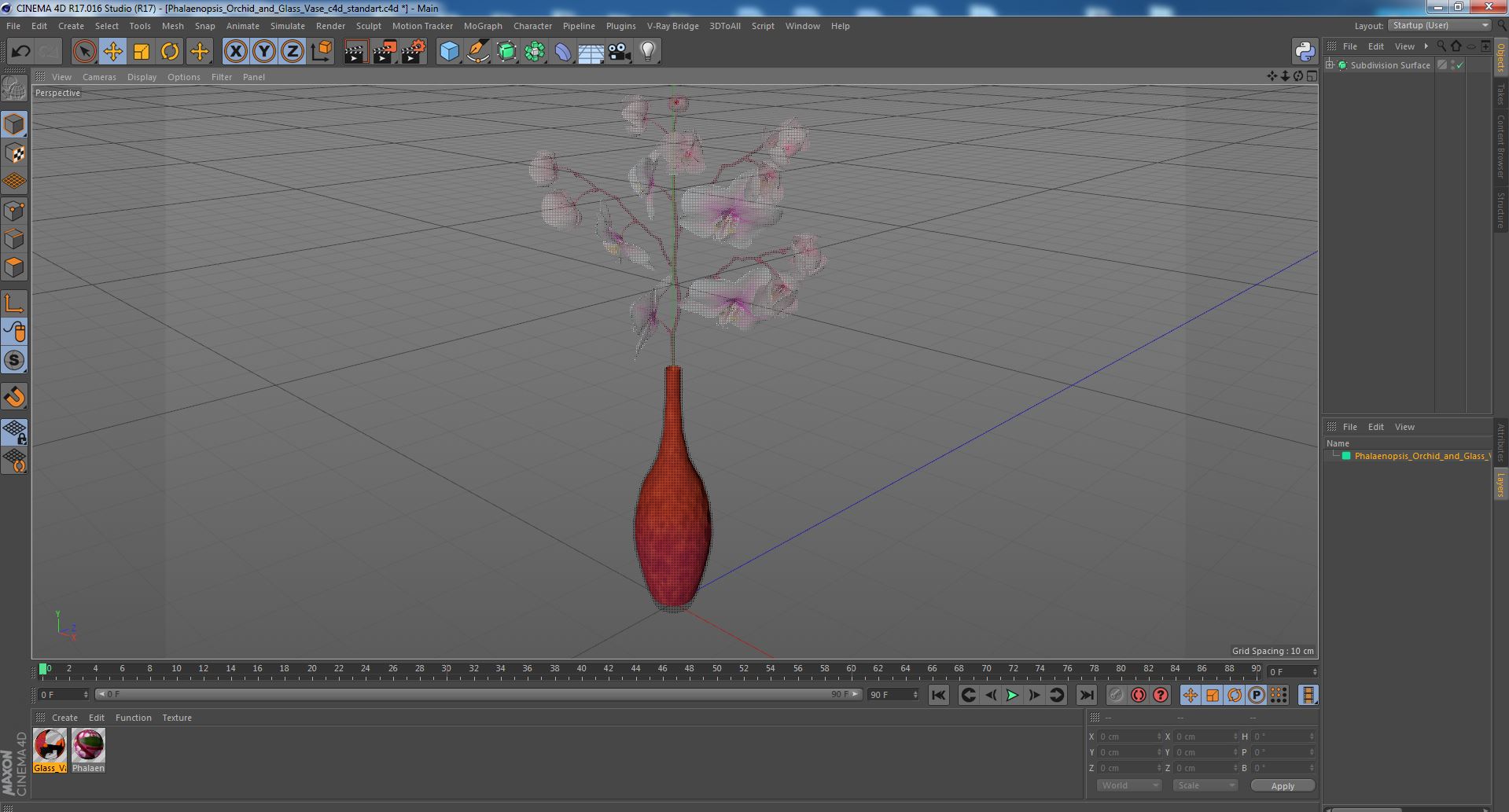Phalaenopsis Orchid and Glass Vase 3D model