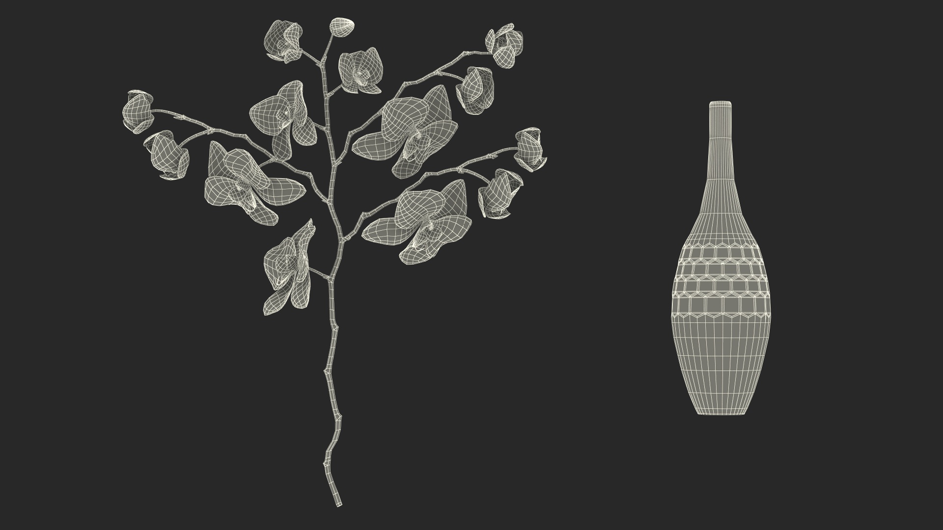 Phalaenopsis Orchid and Glass Vase 3D model