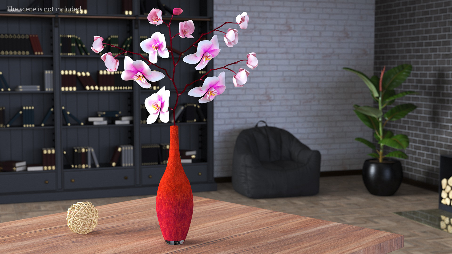 Phalaenopsis Orchid and Glass Vase 3D model