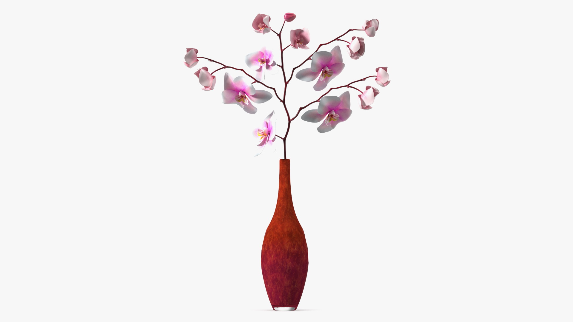 Phalaenopsis Orchid and Glass Vase 3D model