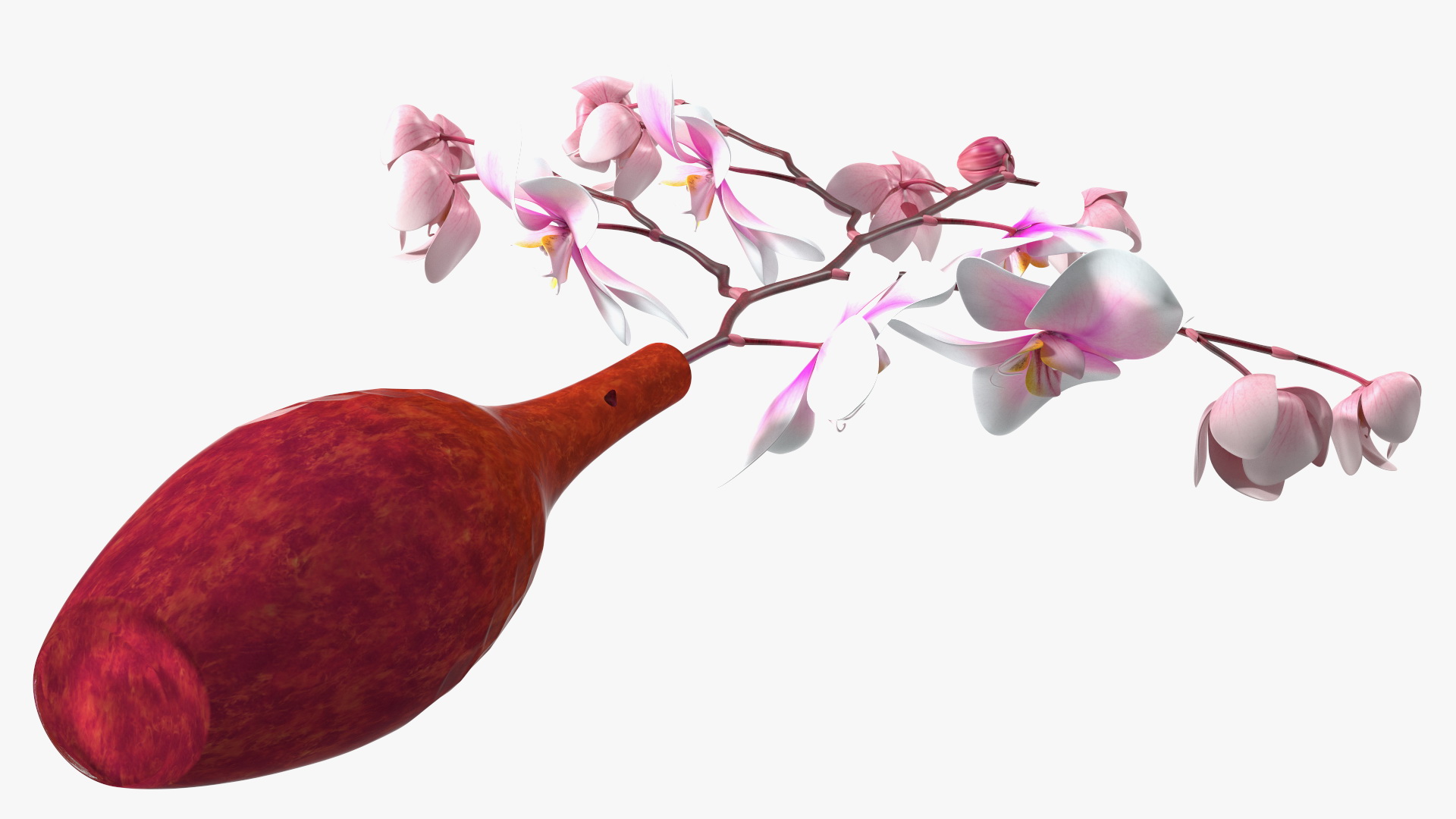 Phalaenopsis Orchid and Glass Vase 3D model