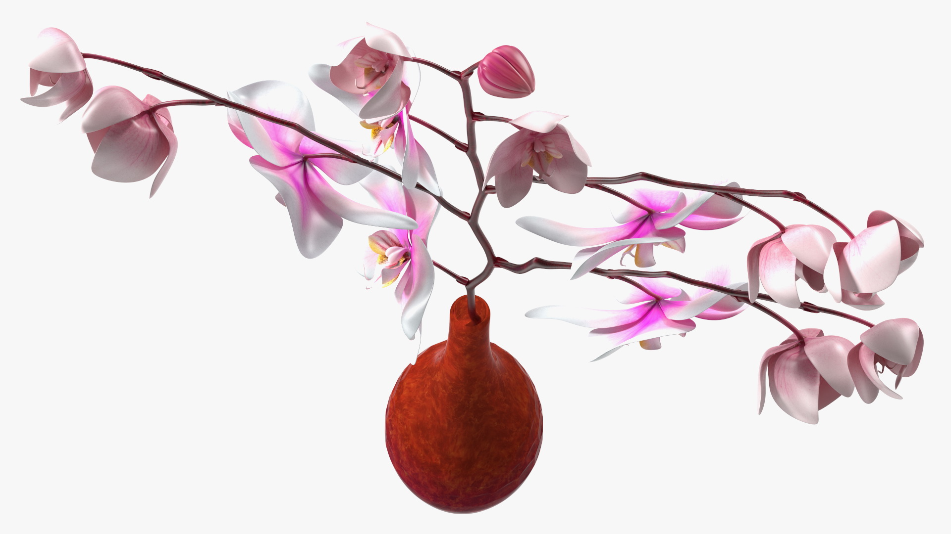 Phalaenopsis Orchid and Glass Vase 3D model