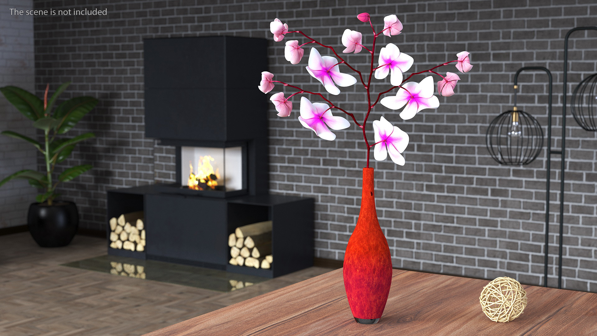 Phalaenopsis Orchid and Glass Vase 3D model