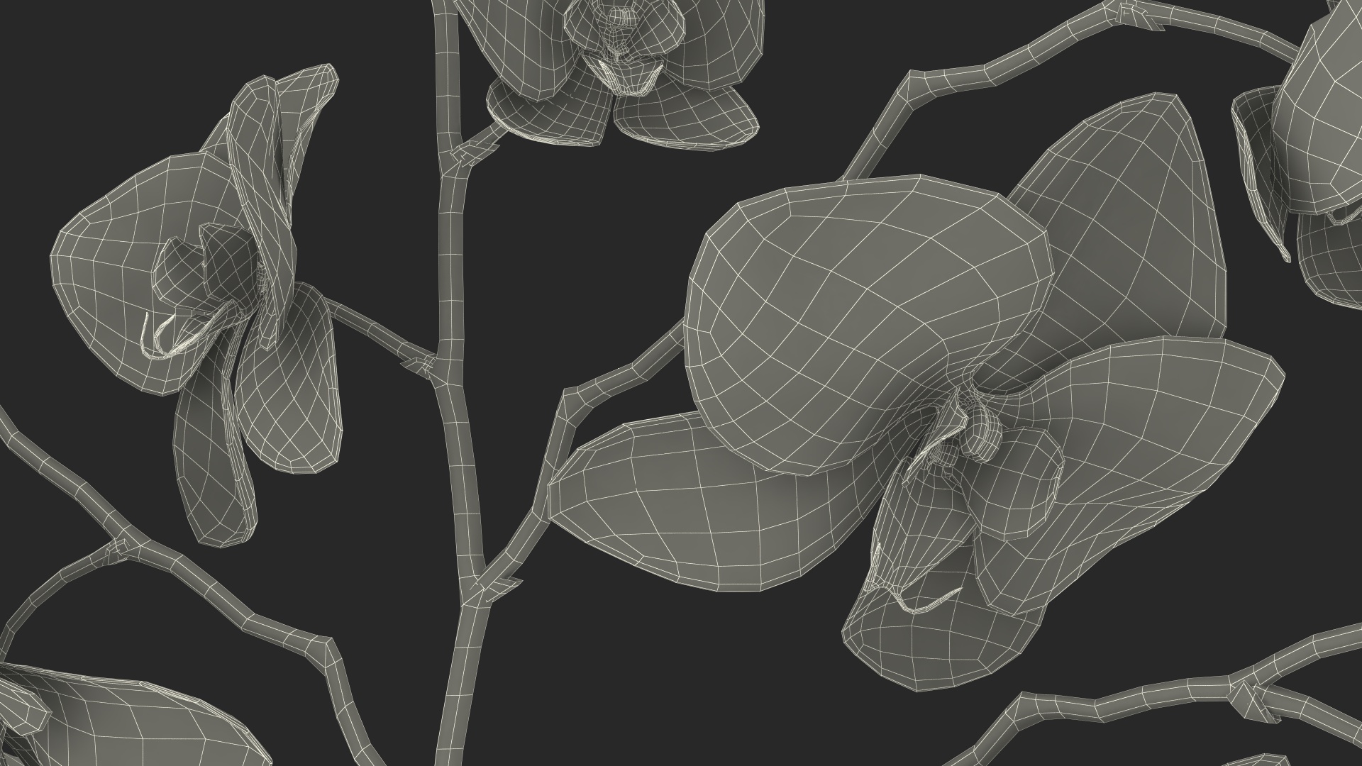 Phalaenopsis Orchid and Glass Vase 3D model
