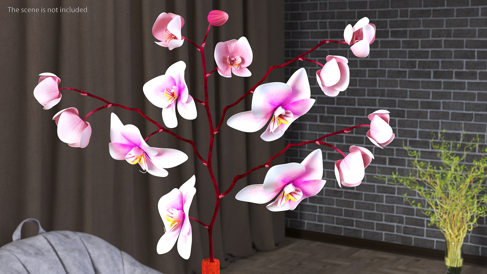 Phalaenopsis Orchid and Glass Vase 3D model