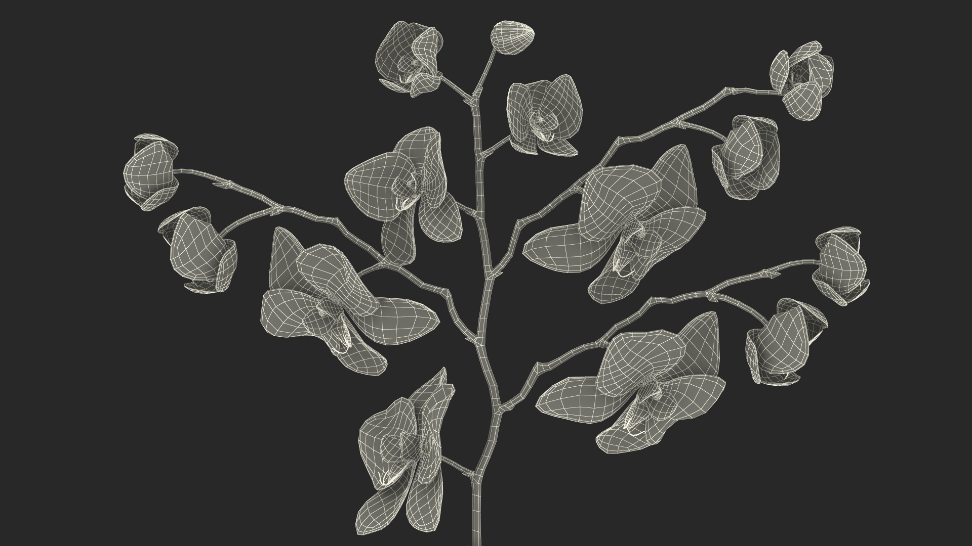 Phalaenopsis Orchid and Glass Vase 3D model