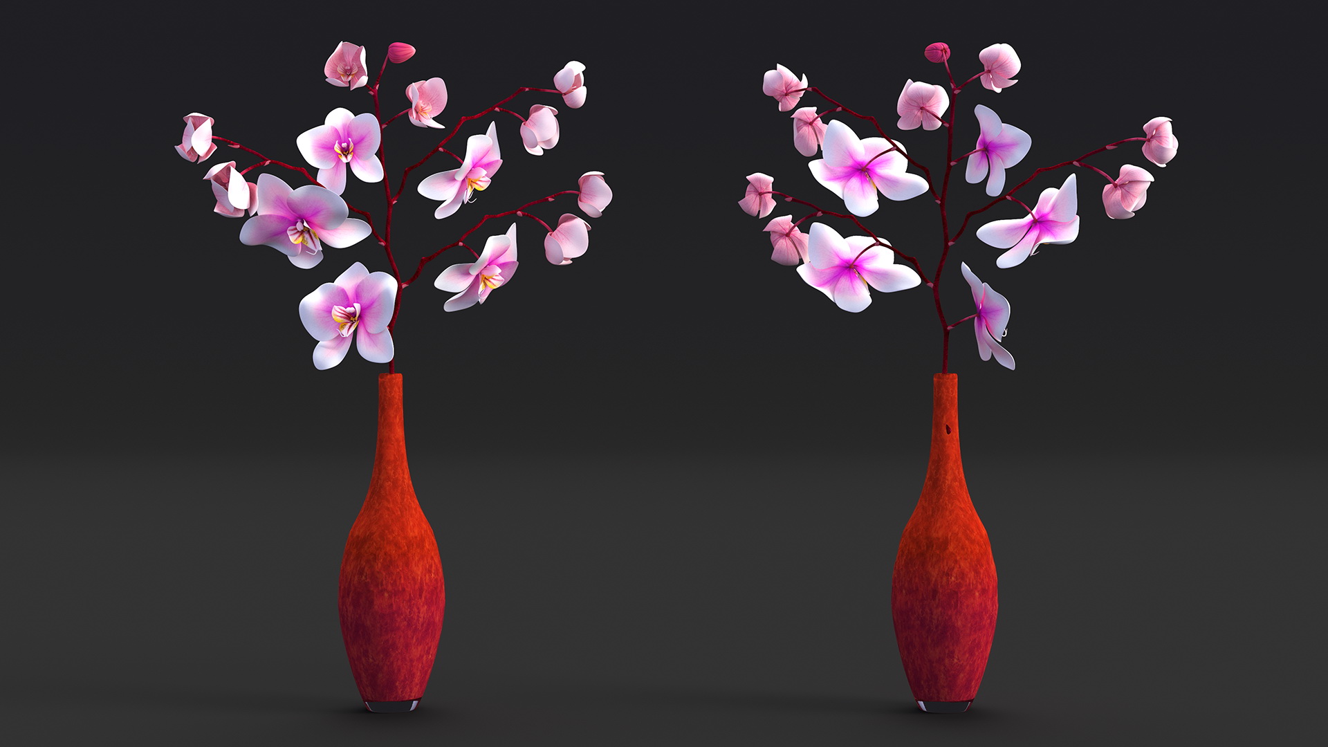 Phalaenopsis Orchid and Glass Vase 3D model