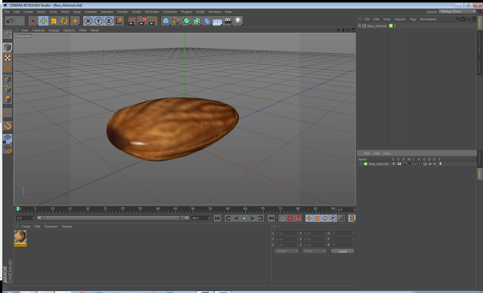3D model Raw Almond