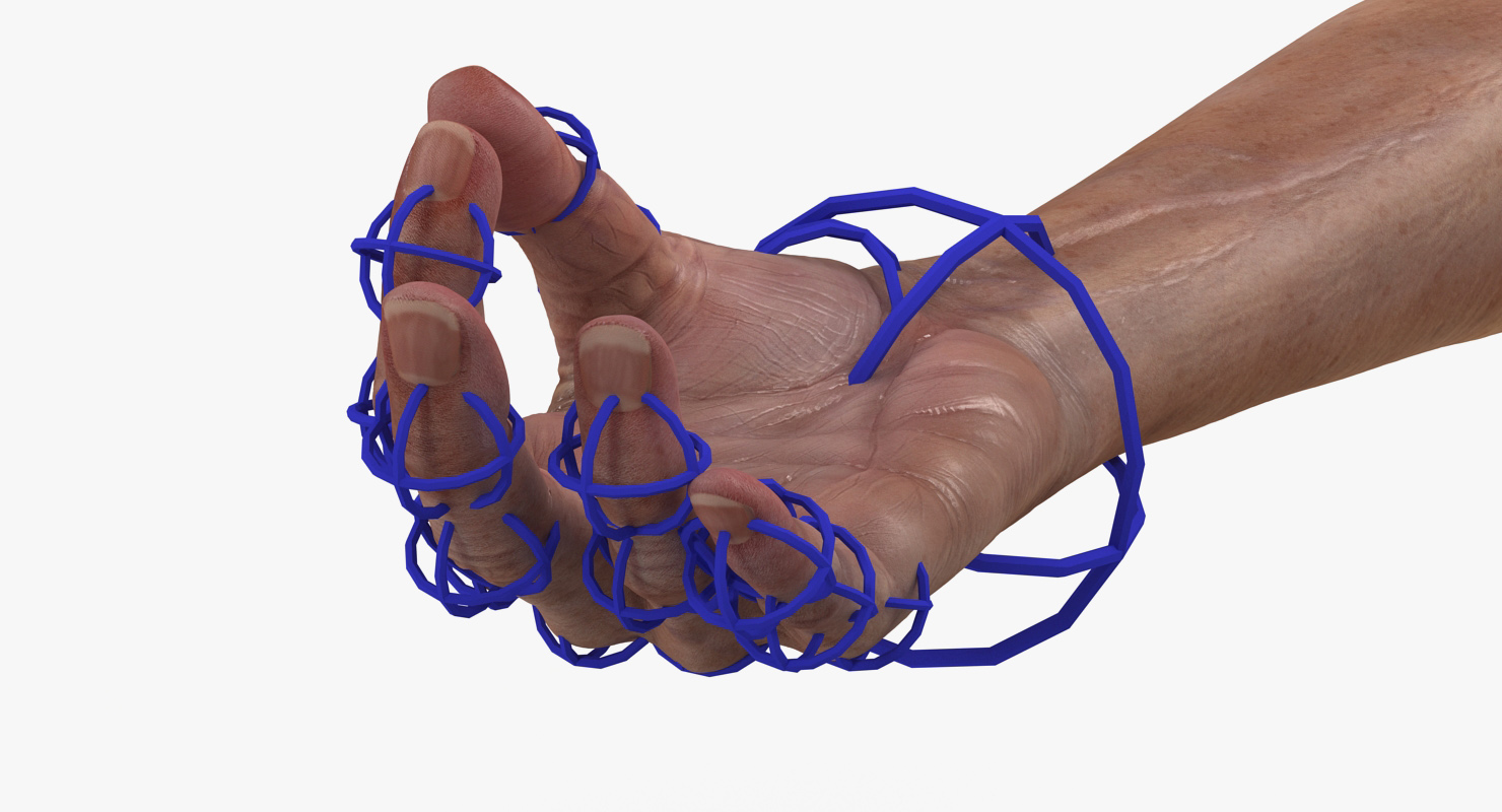 Compass Circle Drawing Hand Rigged 3D model