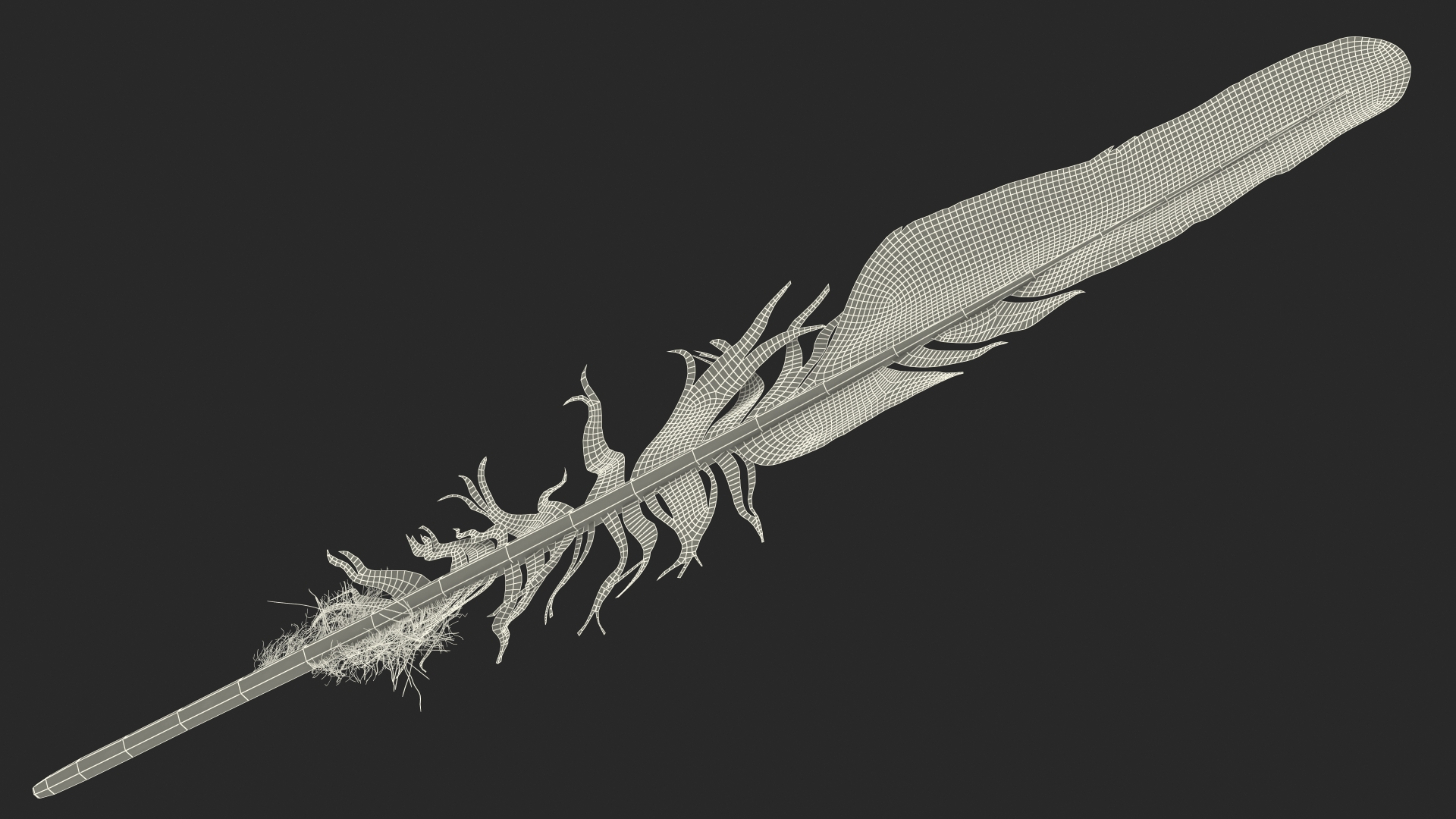 3D Feather Bird Brown Colored