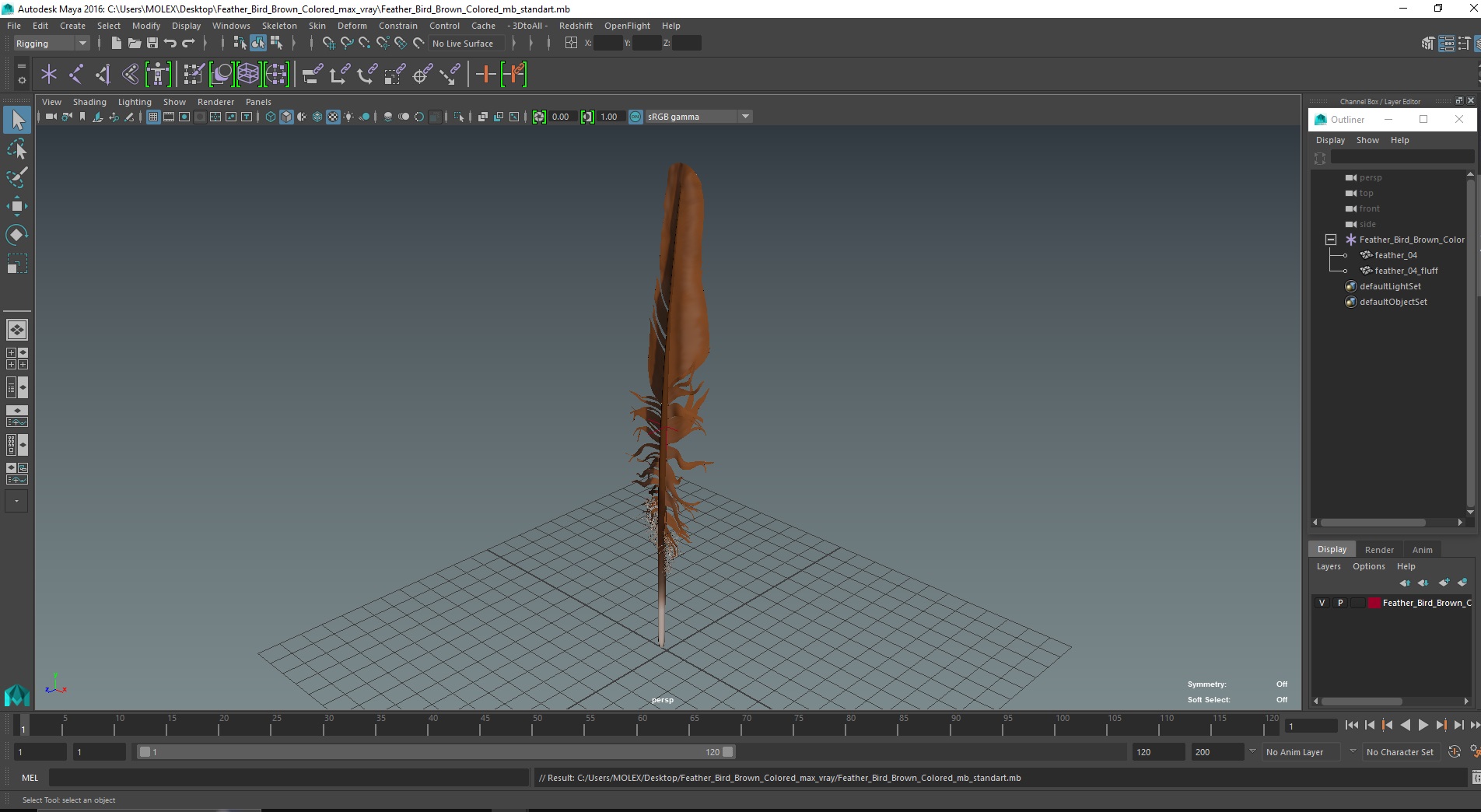 3D Feather Bird Brown Colored
