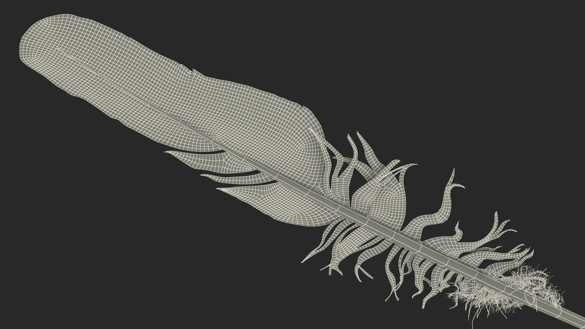 3D Feather Bird Brown Colored