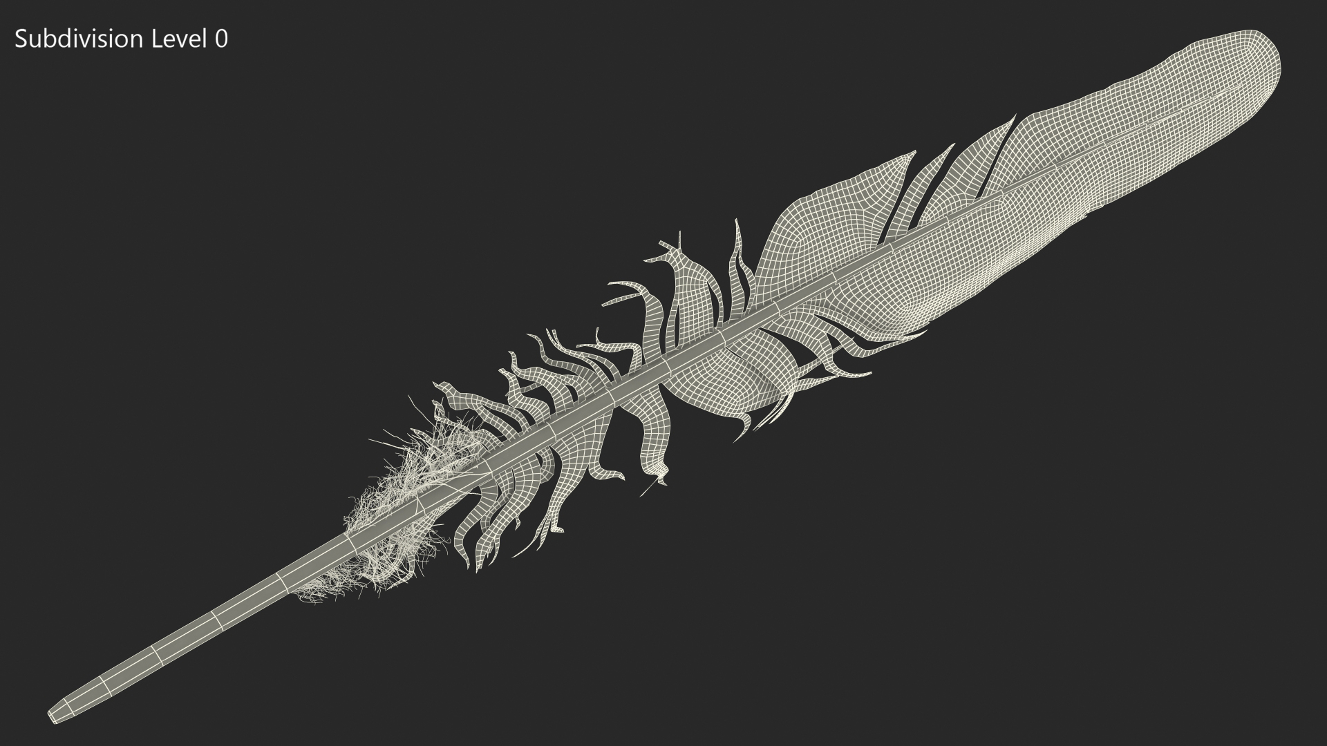 3D Feather Bird Brown Colored