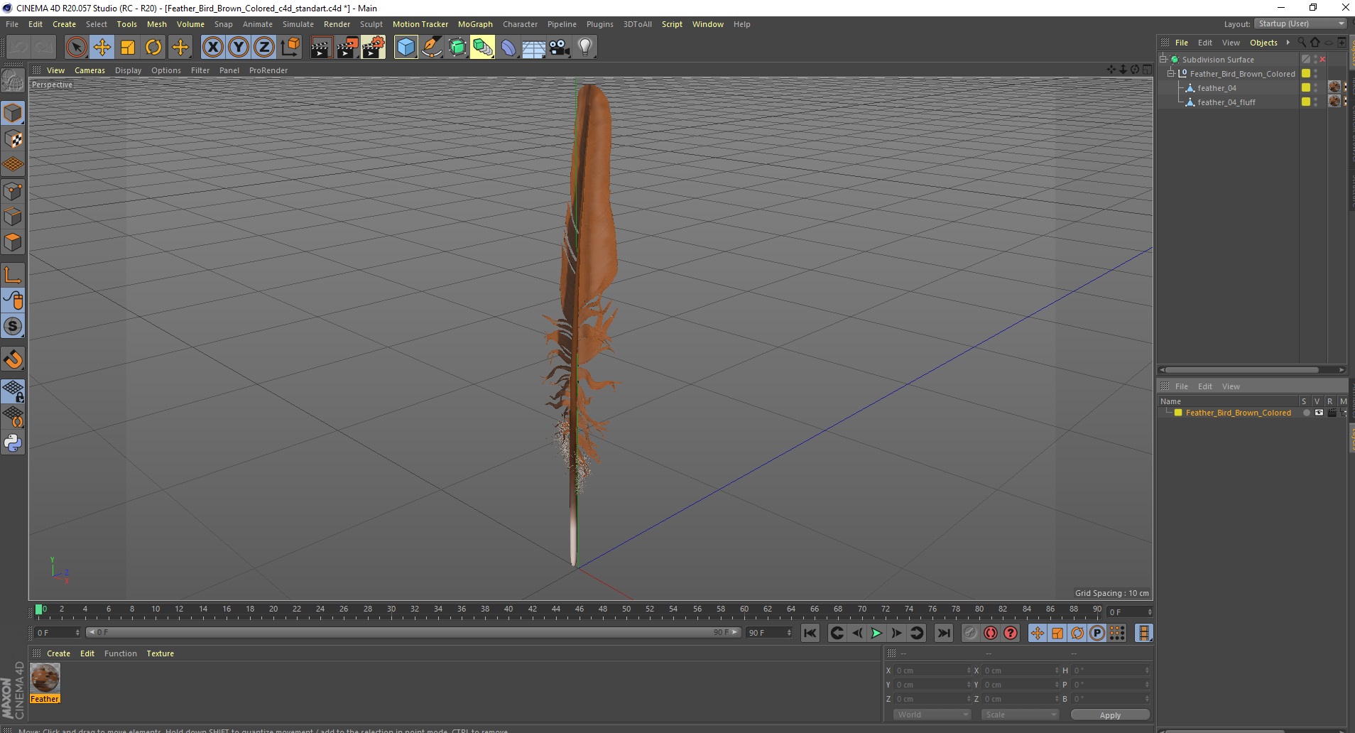 3D Feather Bird Brown Colored