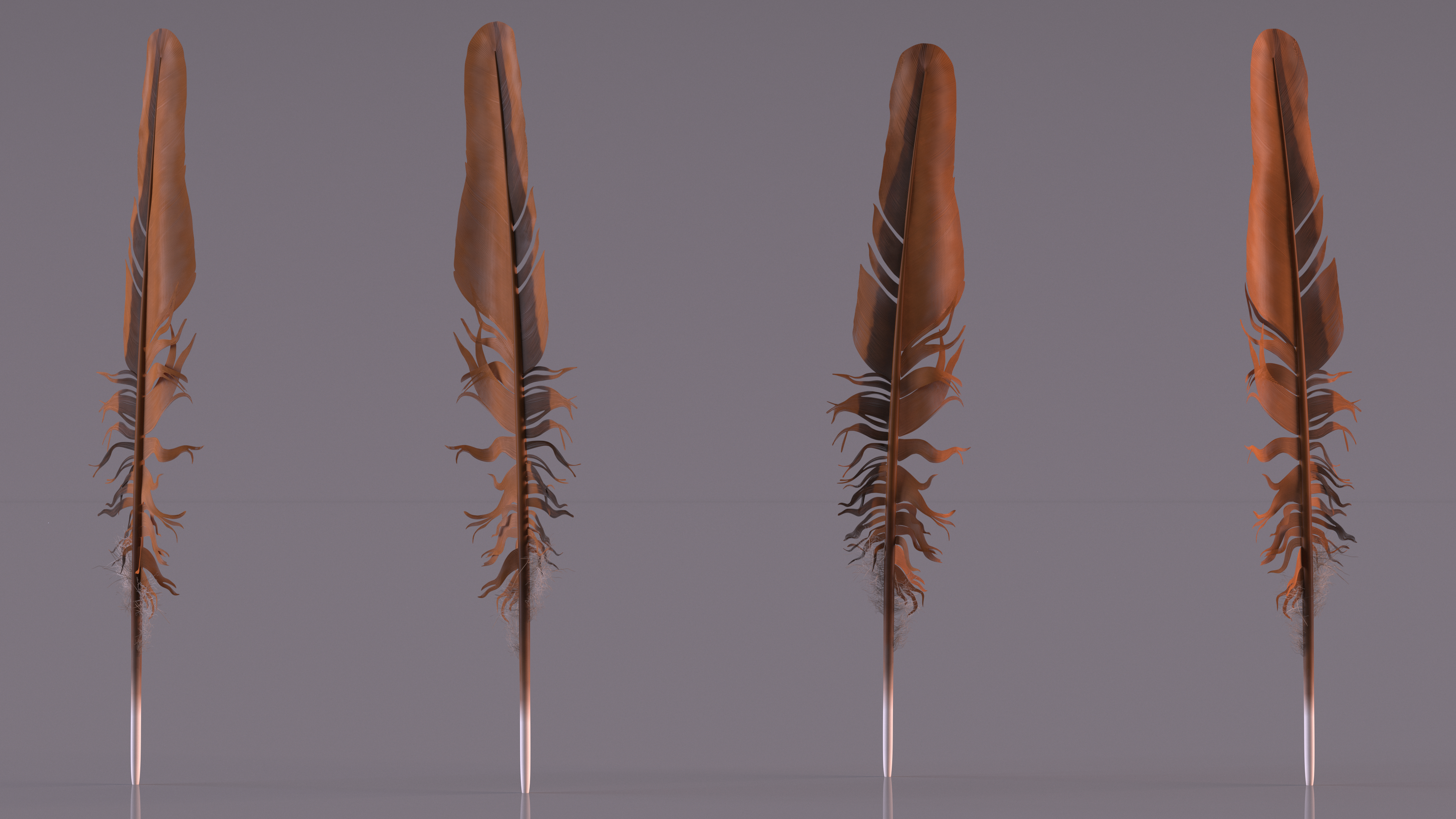 3D Feather Bird Brown Colored