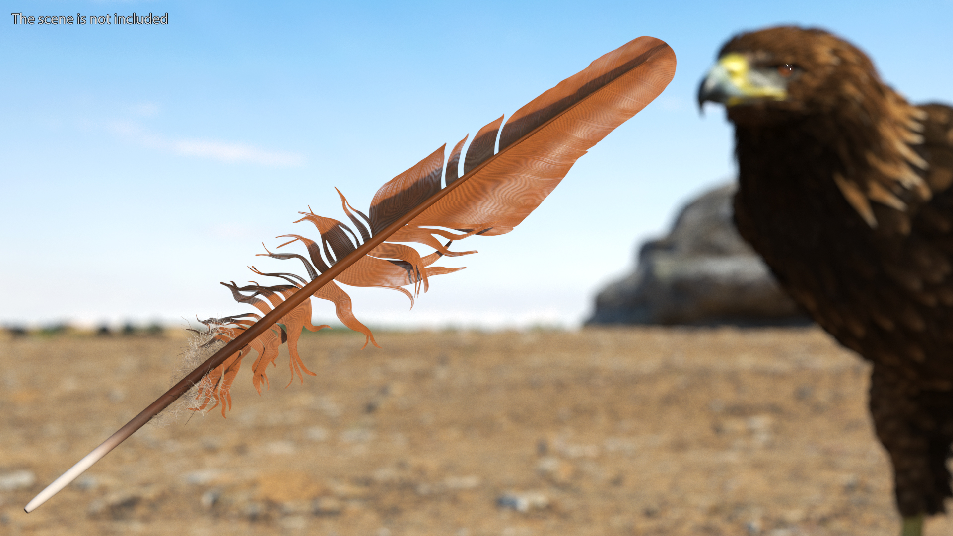 3D Feather Bird Brown Colored