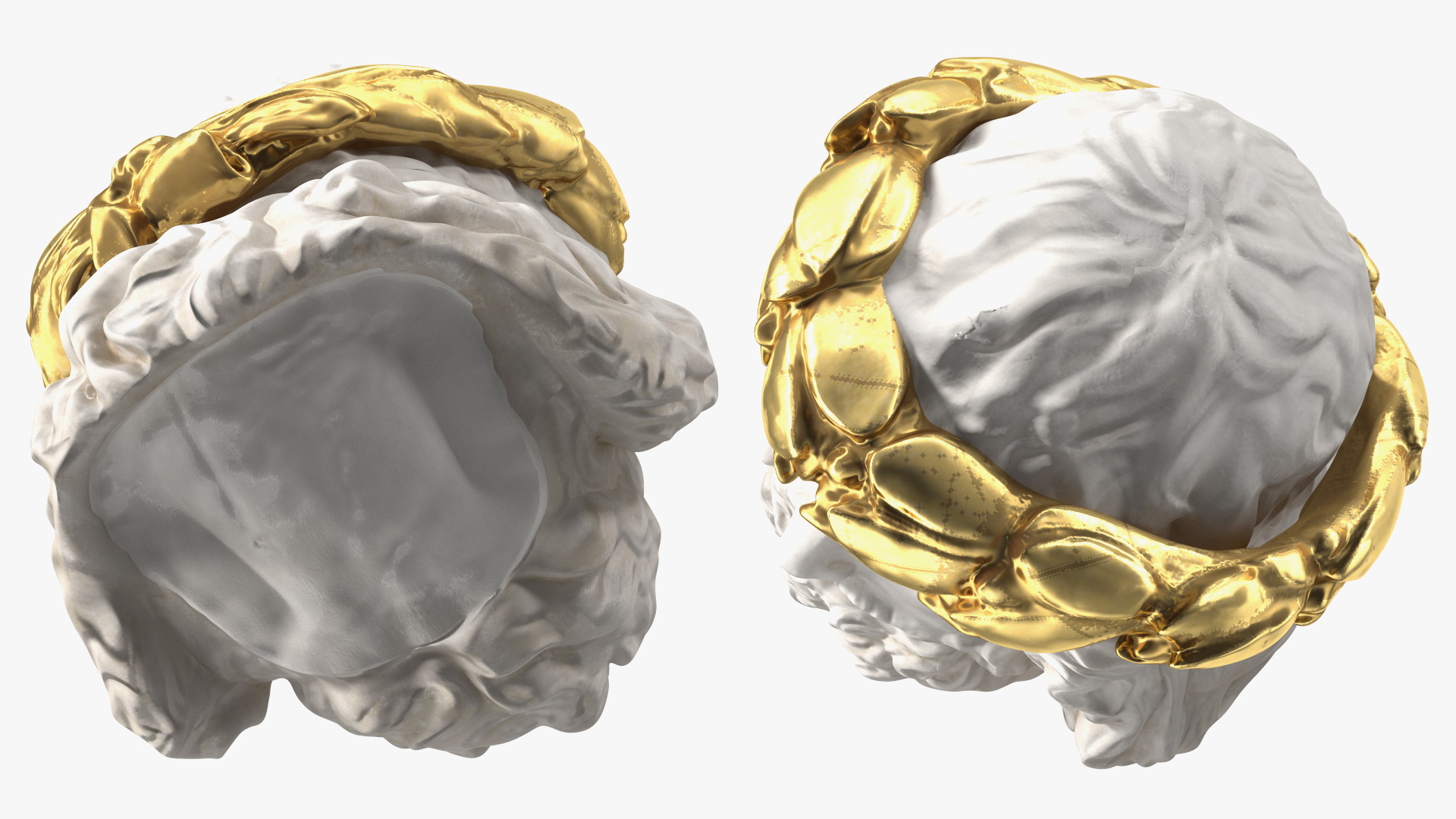 3D Zeus Head with Gold Wreath Sculpture