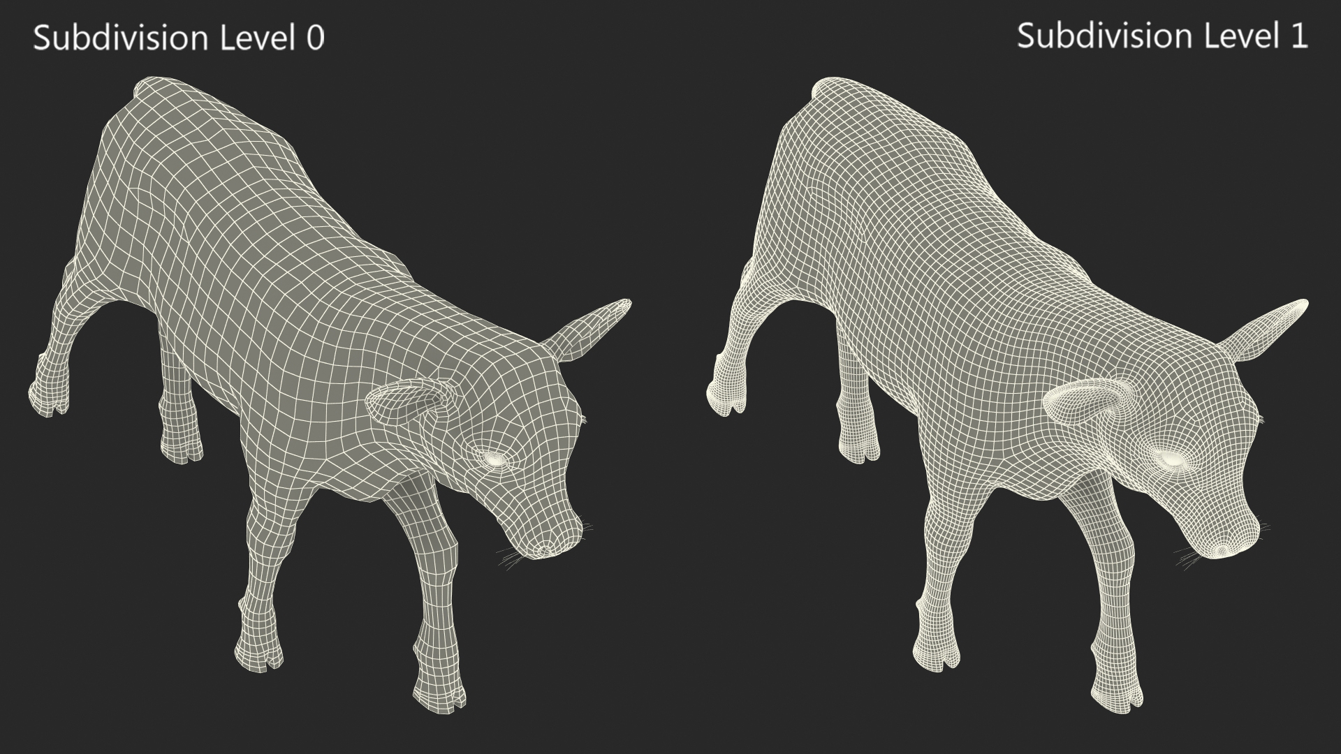 Cow Calf in Walking Pose 3D model