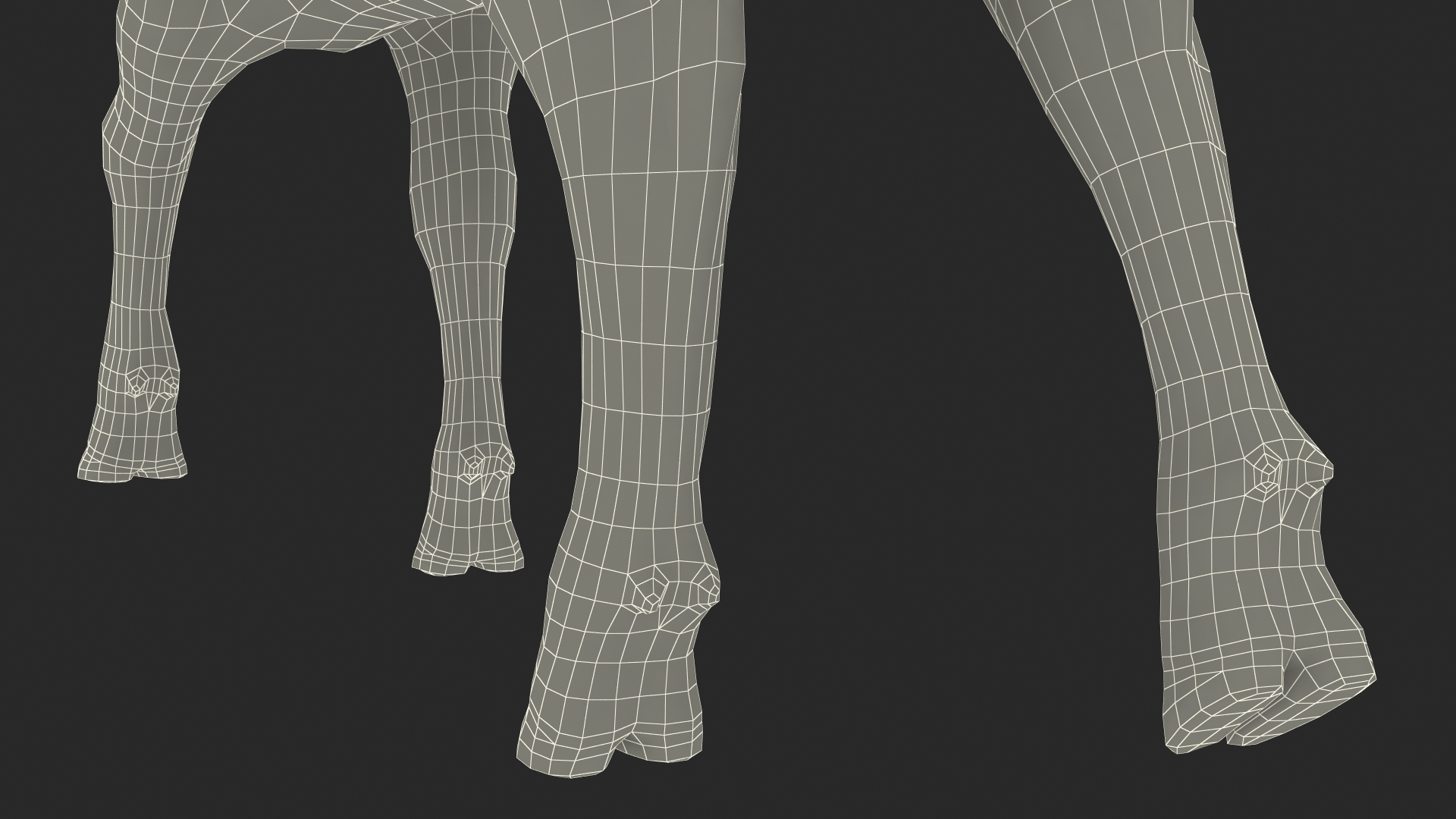 Cow Calf in Walking Pose 3D model