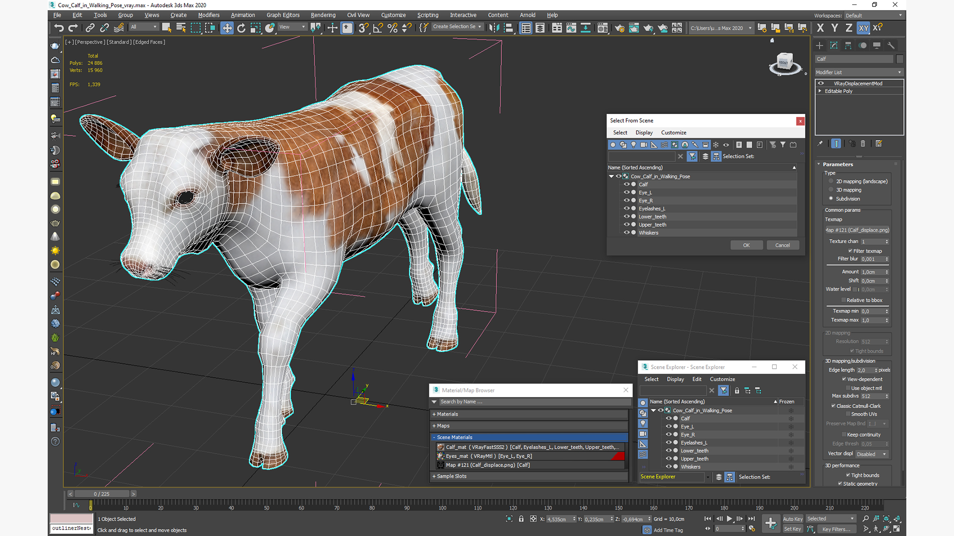 Cow Calf in Walking Pose 3D model