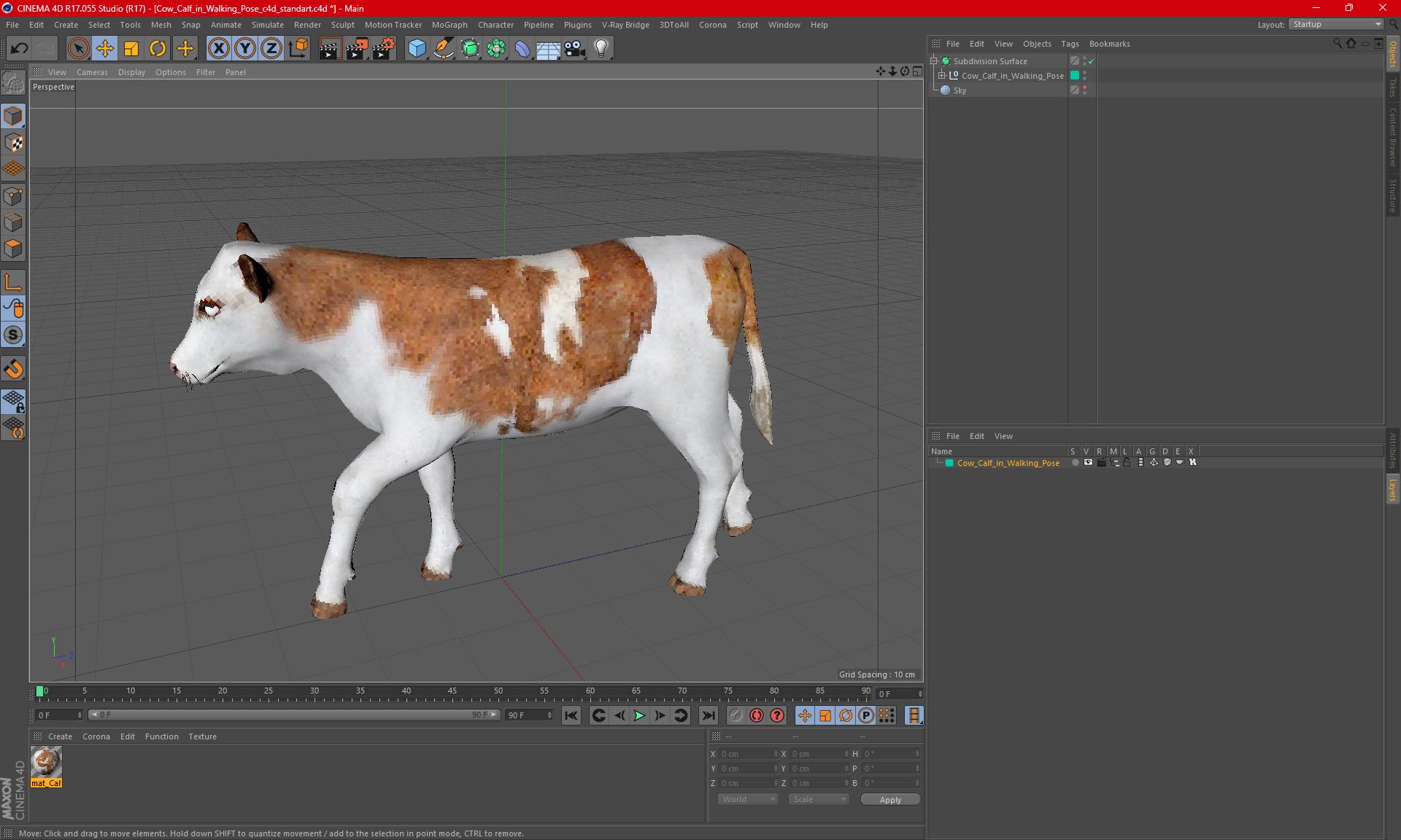 Cow Calf in Walking Pose 3D model