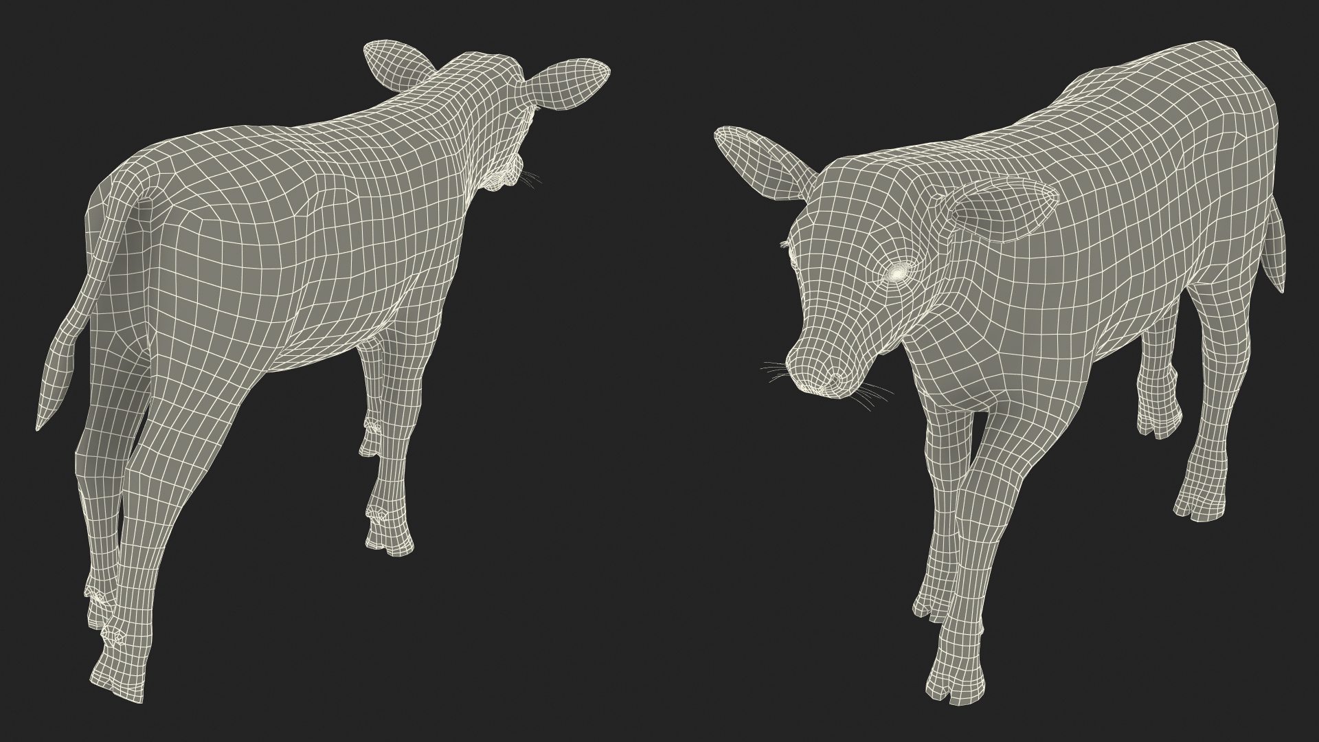 Cow Calf in Walking Pose 3D model