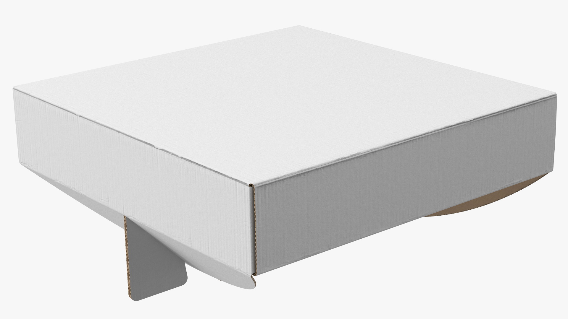 Pizza Box with Handle White 3D