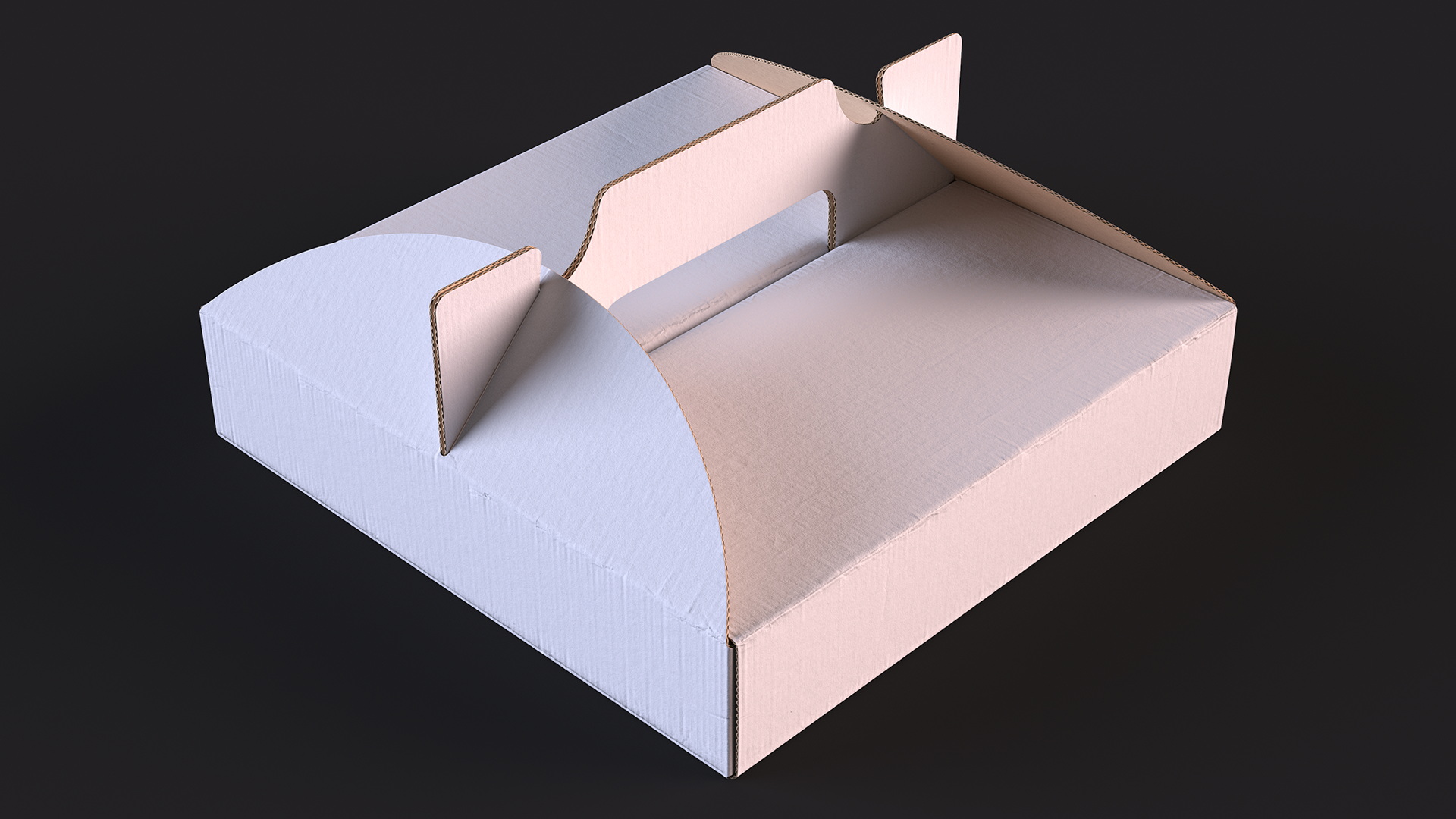 Pizza Box with Handle White 3D