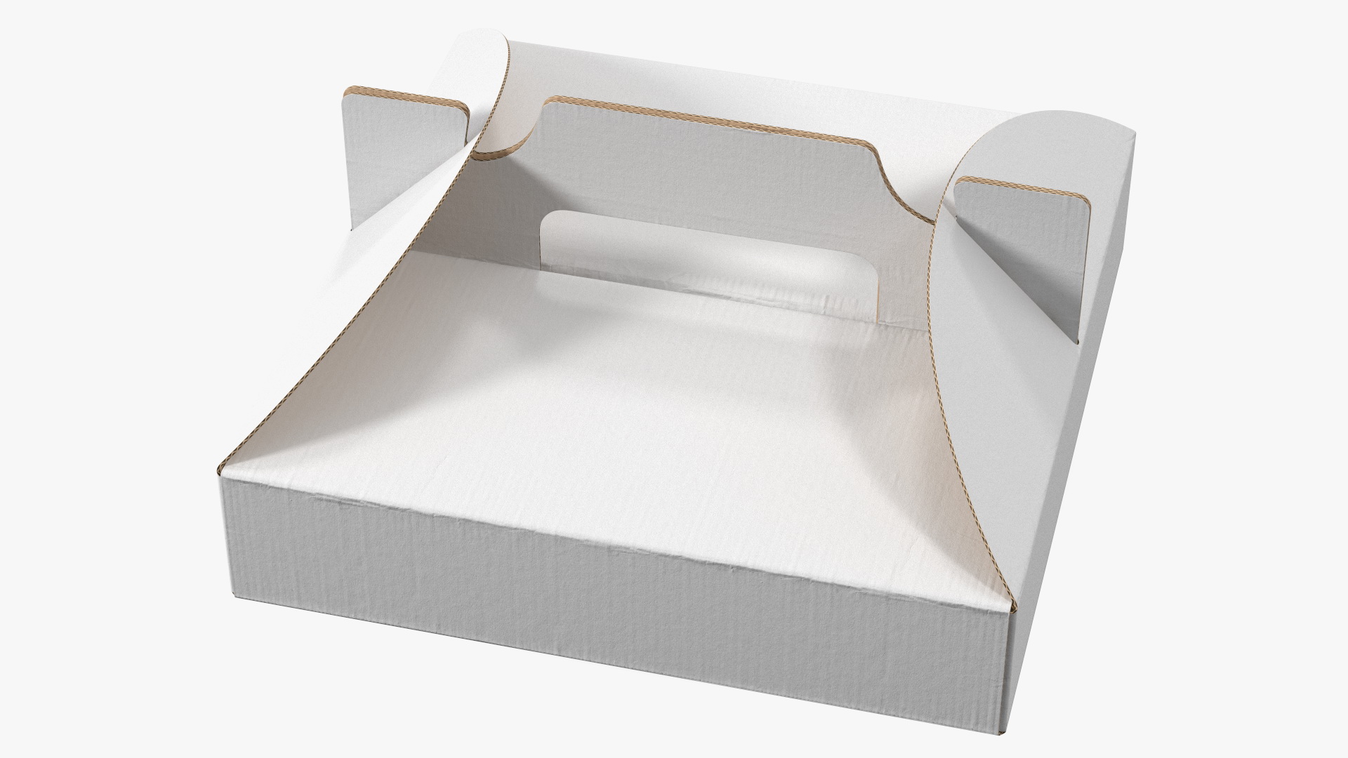 Pizza Box with Handle White 3D