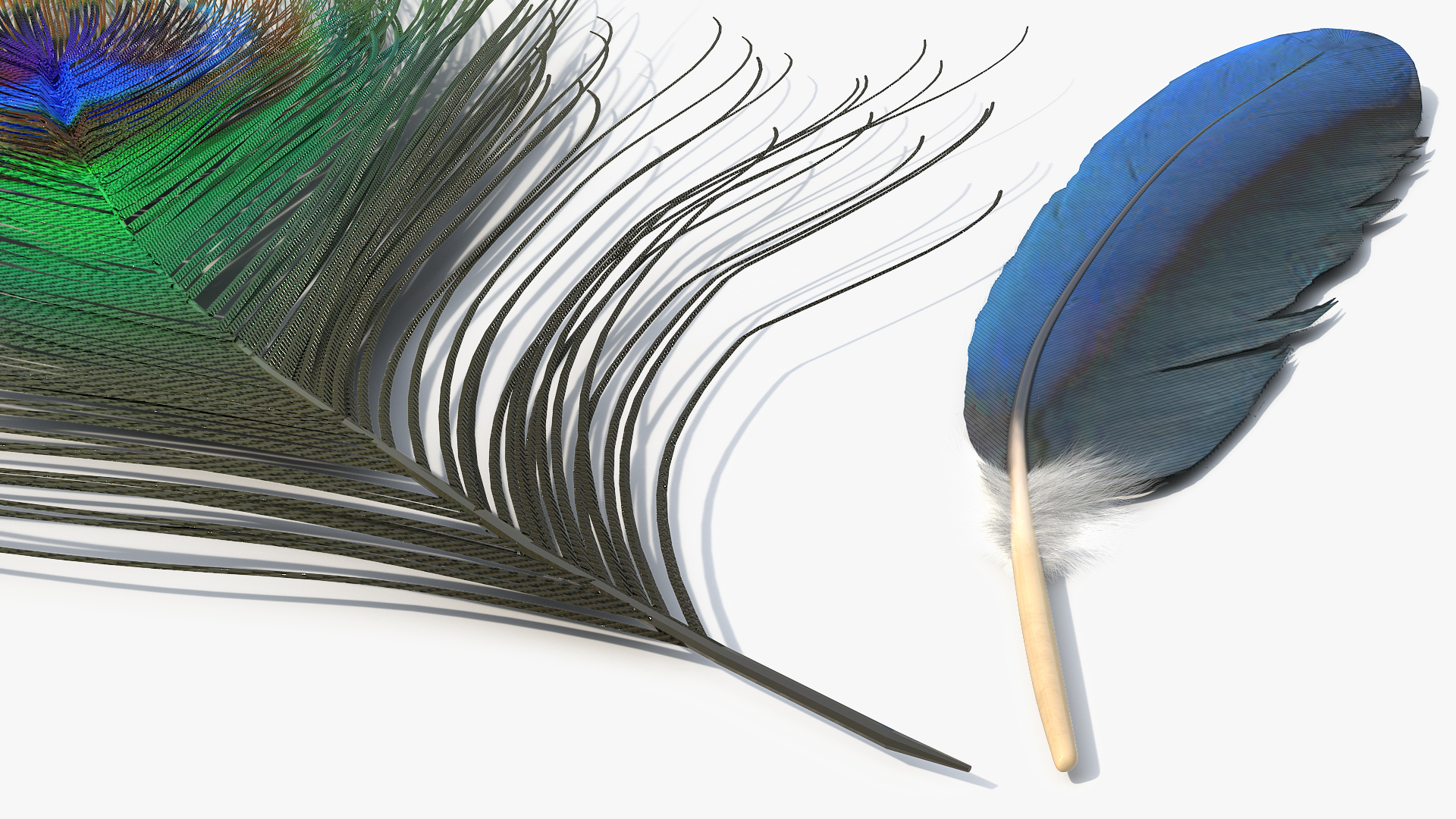 Peacock Feathers Green Blue Fur - view 4
