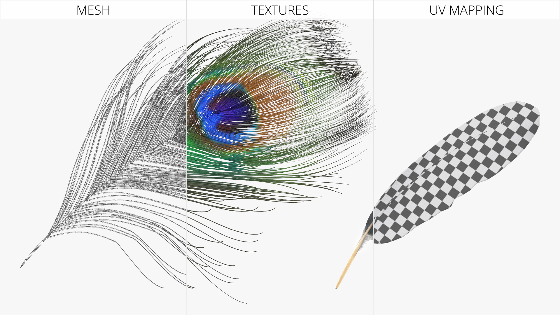 Peacock Feathers Green Blue Fur - view 5