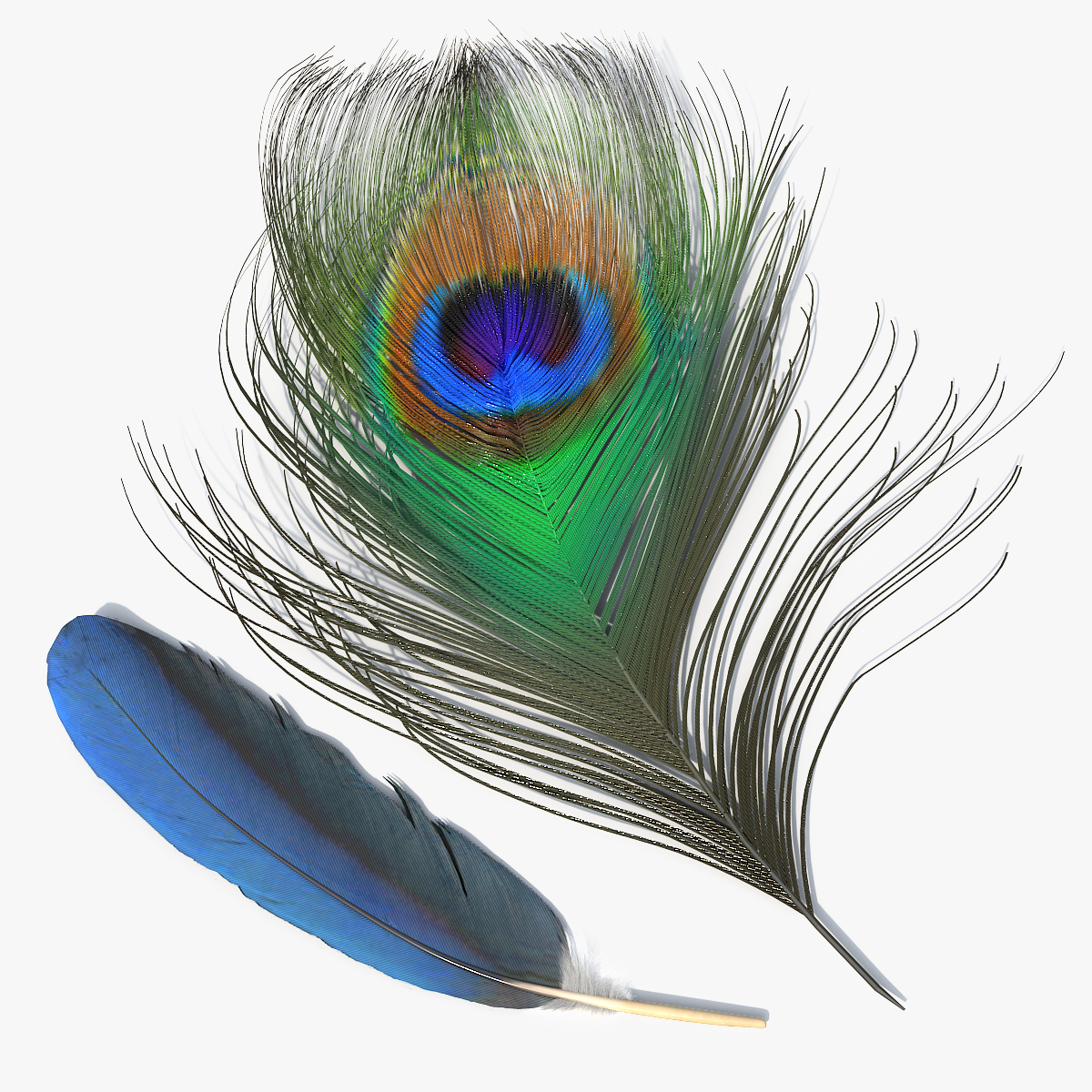 Peacock Feathers Green Blue Fur - view 12