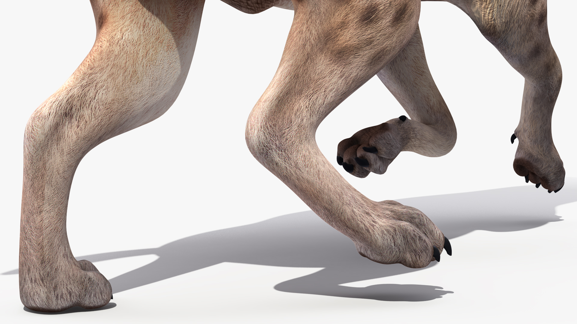 3D Hyena Running Pose model