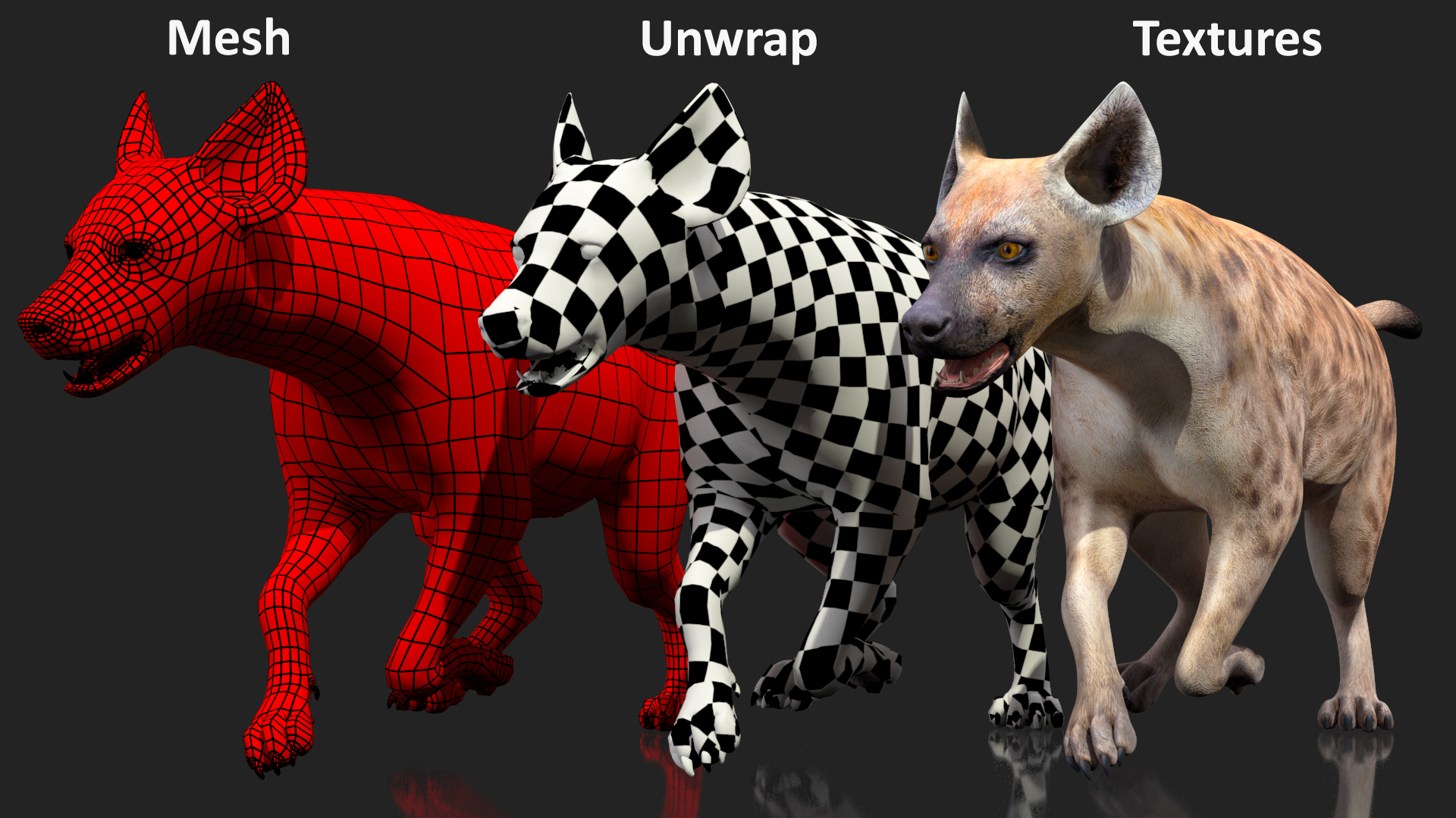 3D Hyena Running Pose model