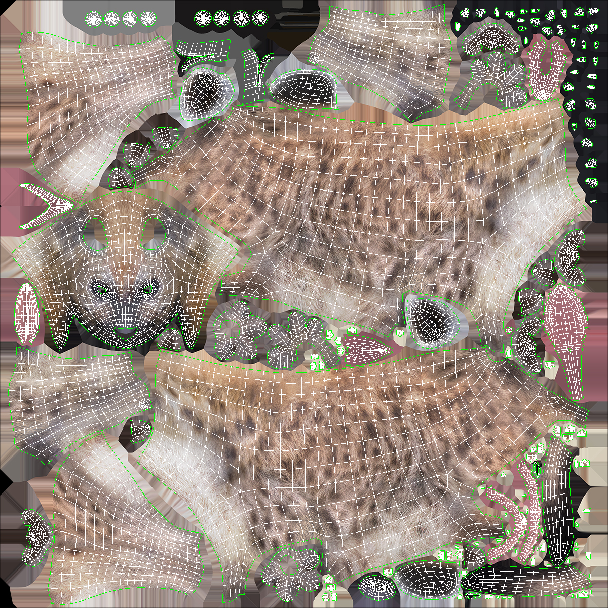 3D Hyena Running Pose model