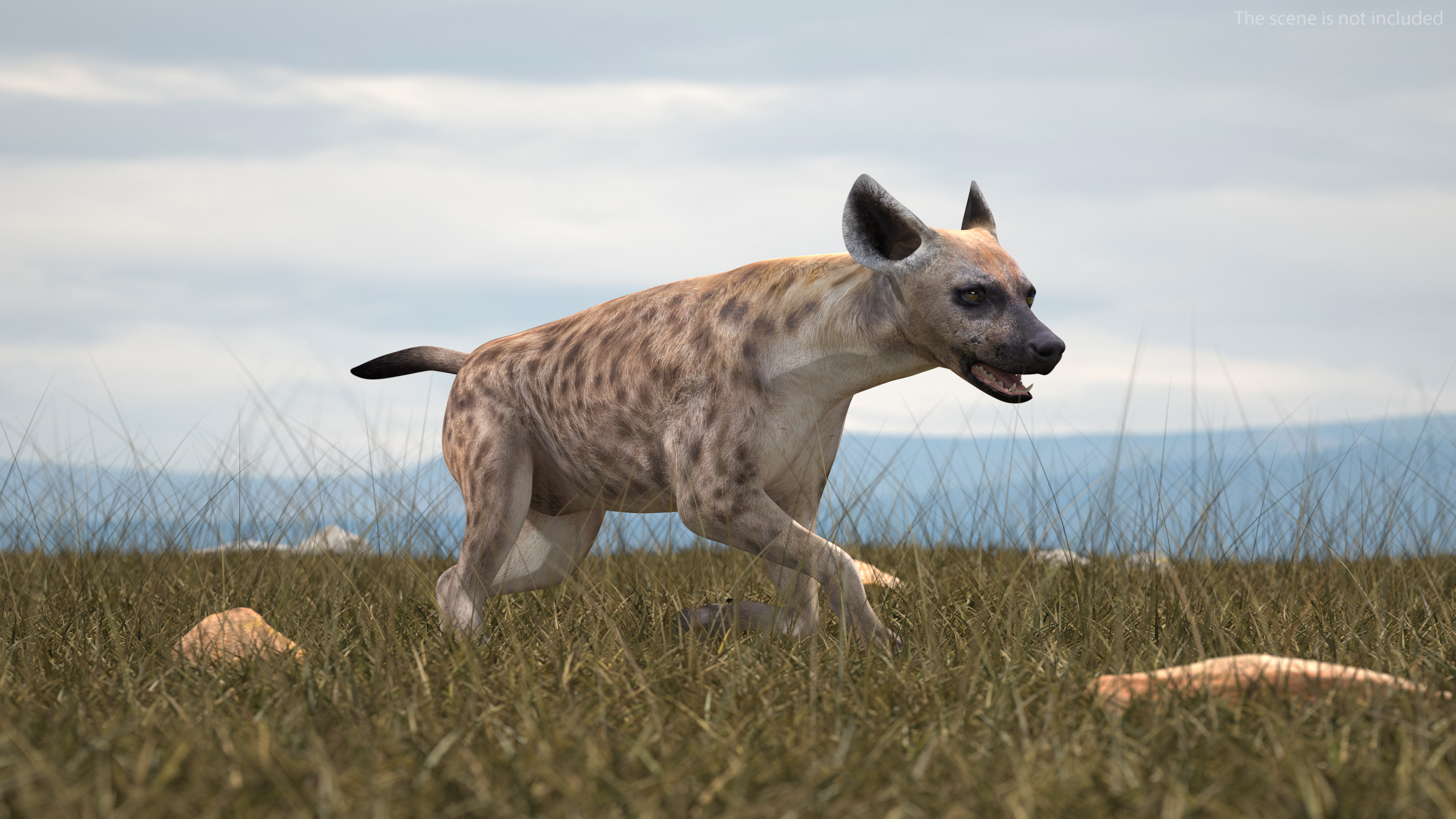 3D Hyena Running Pose model