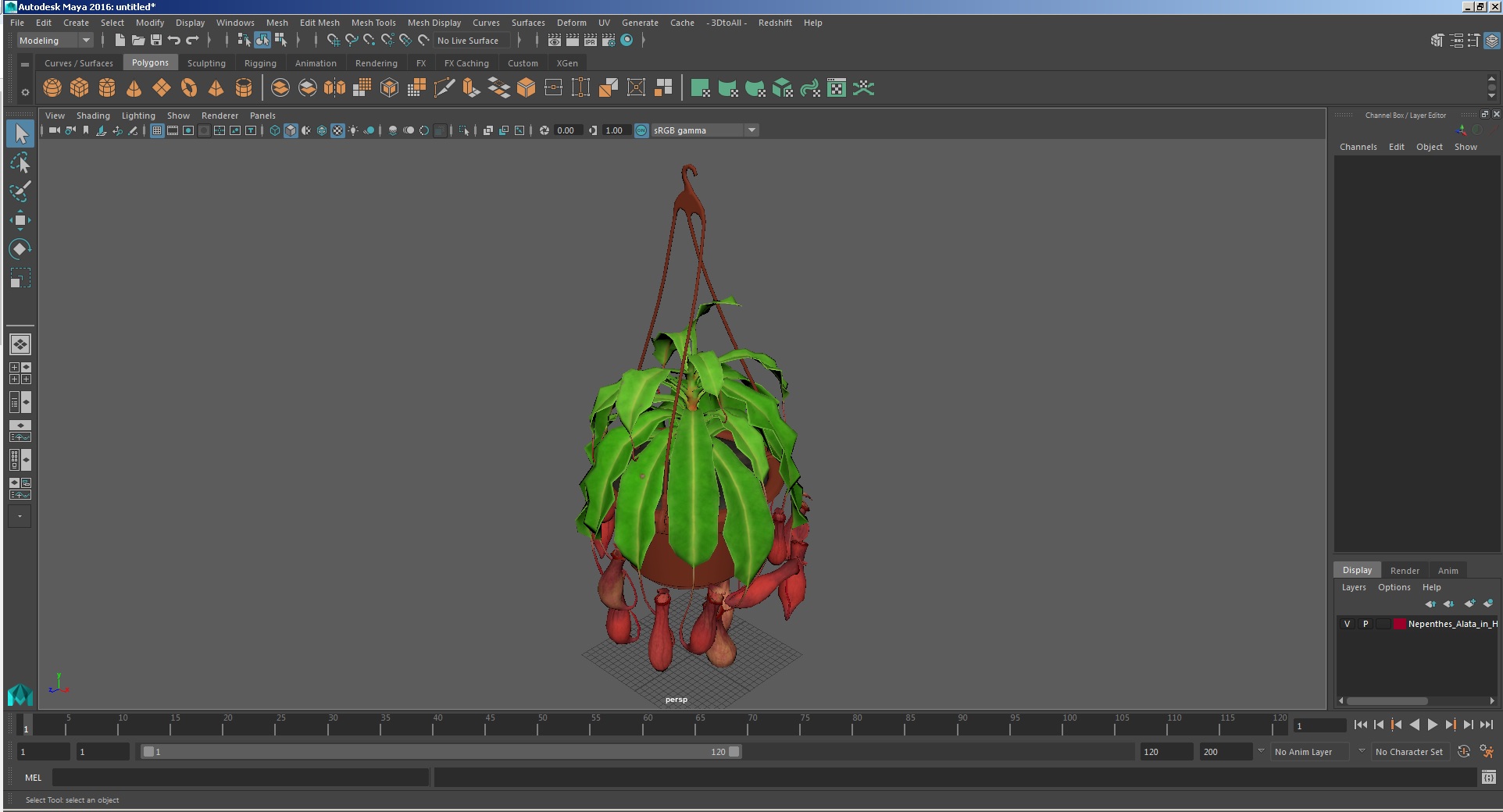 3D model Nepenthes Alata in Hanging Pot