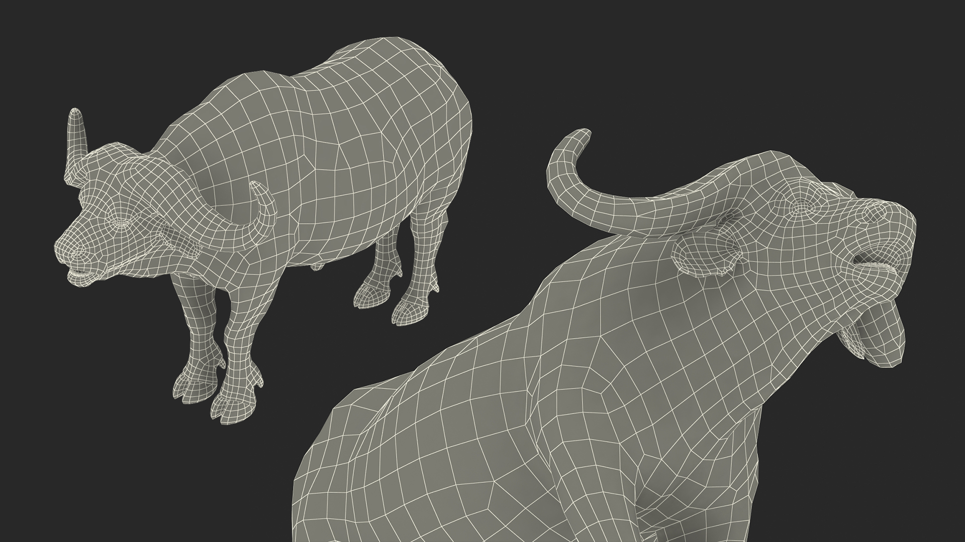 3D model Syncerus Caffer African Buffalo with Fur