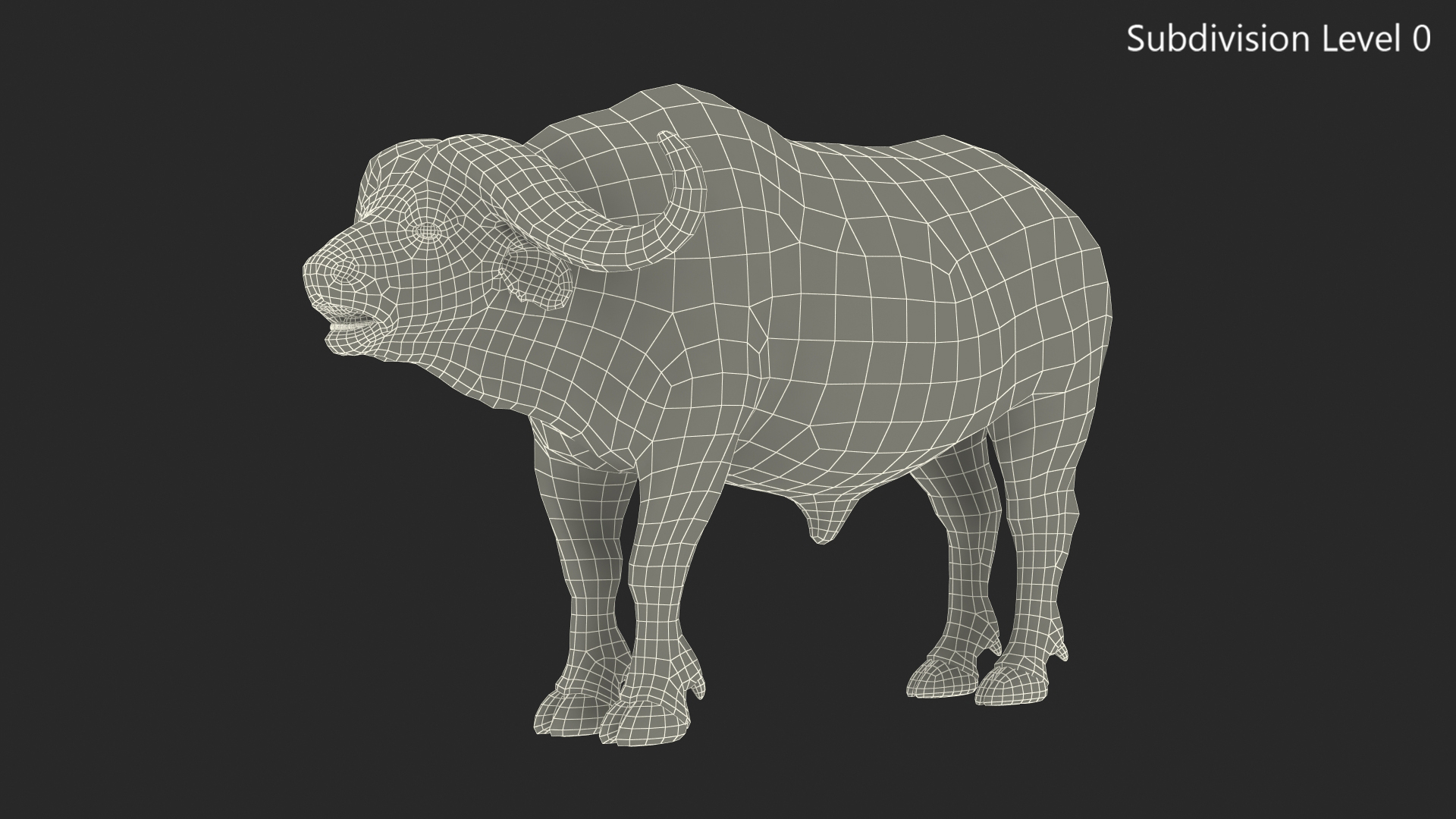 3D model Syncerus Caffer African Buffalo with Fur